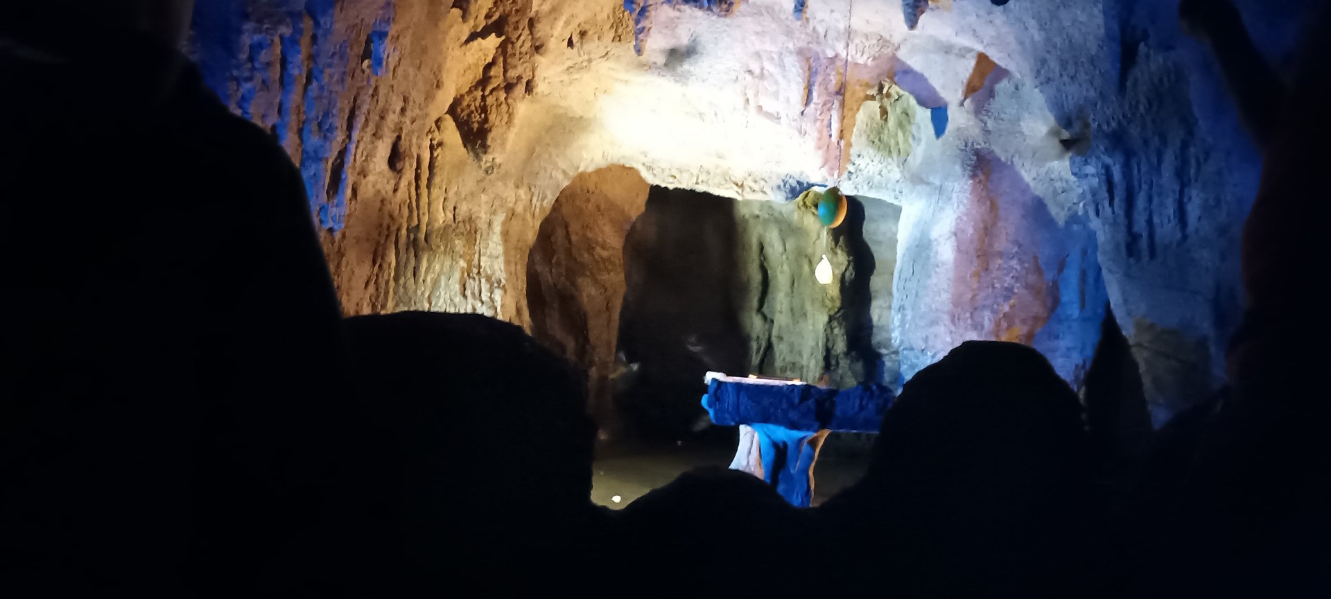 Sebas short tailed Bat Walk through Enclosure