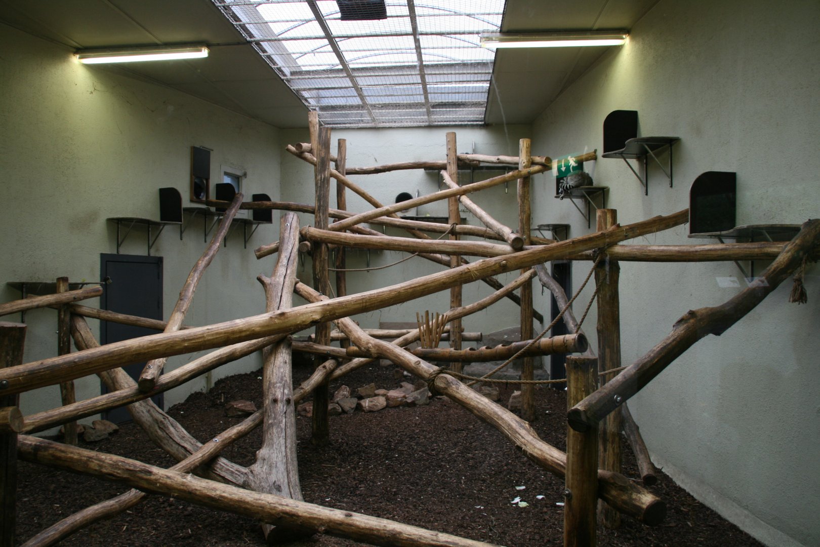 Seccond lemur indoor enclosure