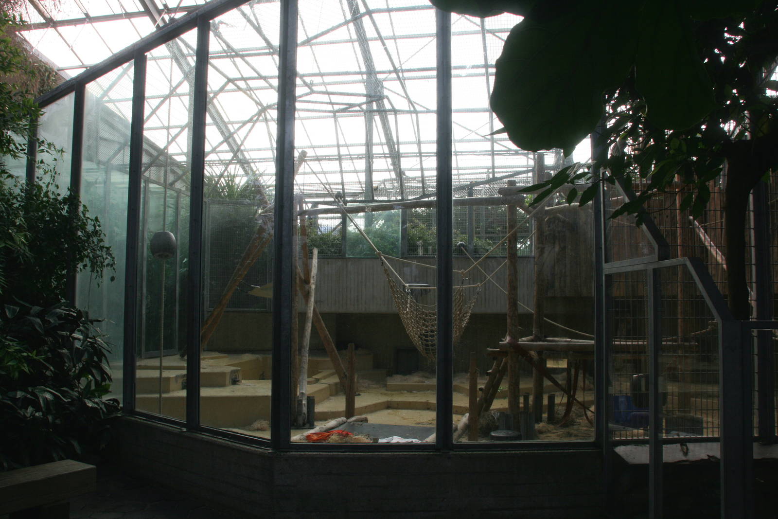 seccond Orangutan indoor enclosure