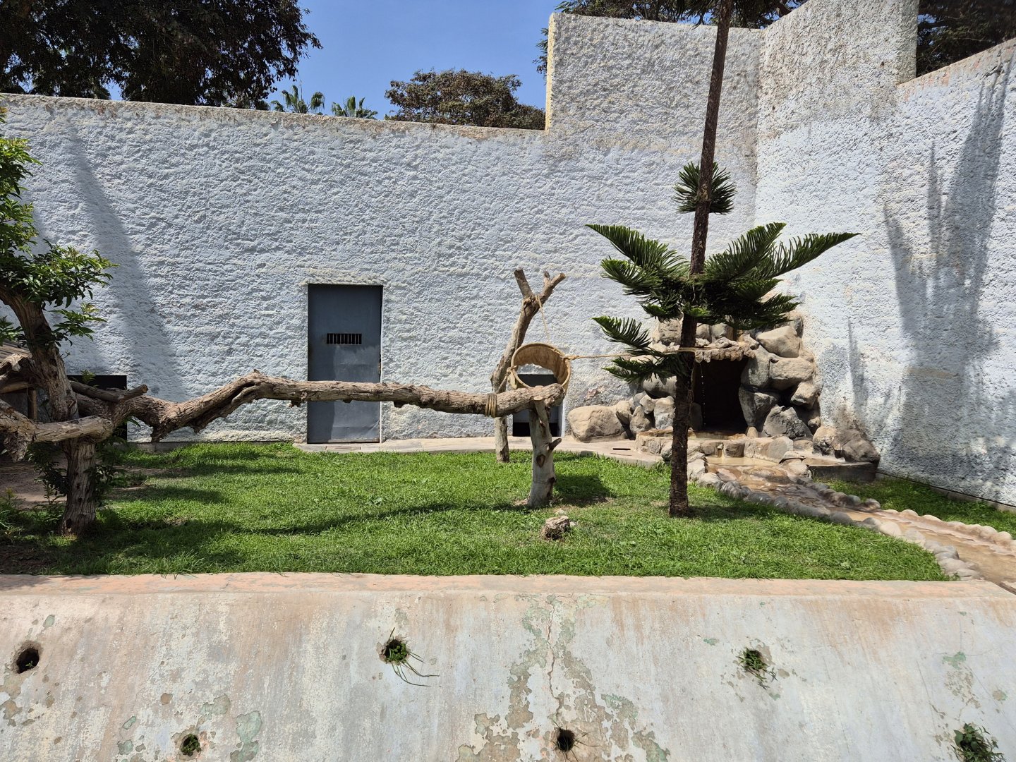 Sechuran Fox exhibit