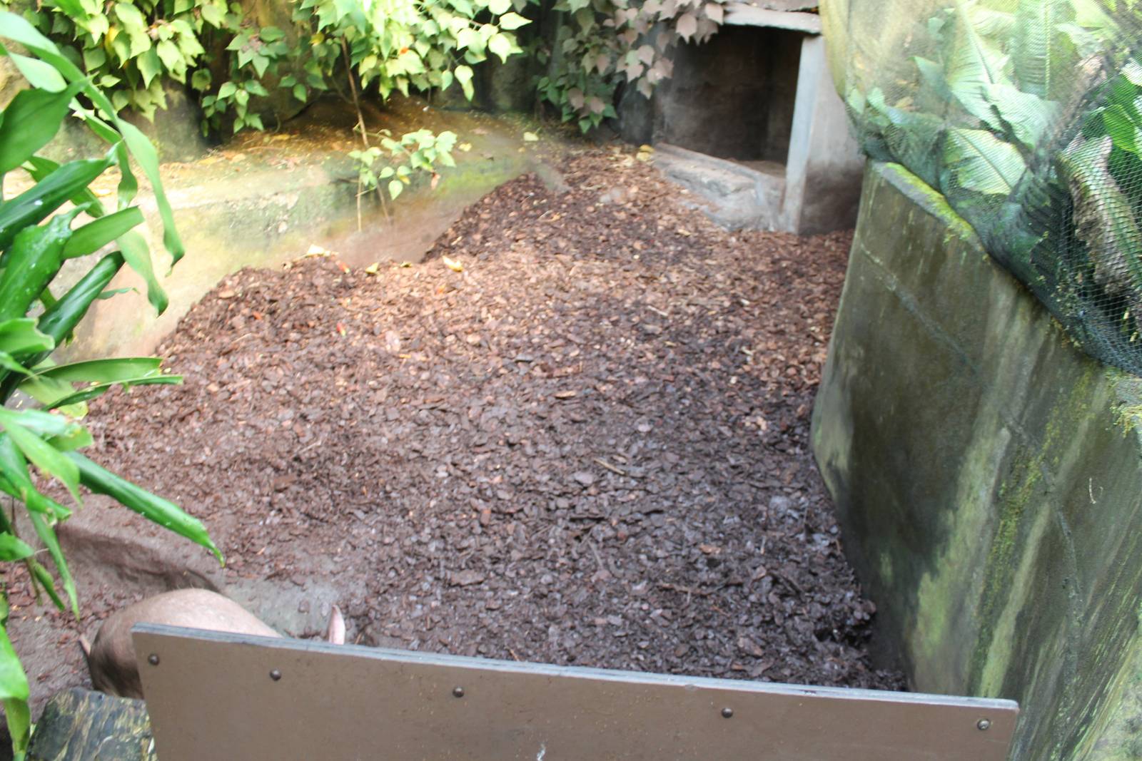 Second Aardvark enclosure