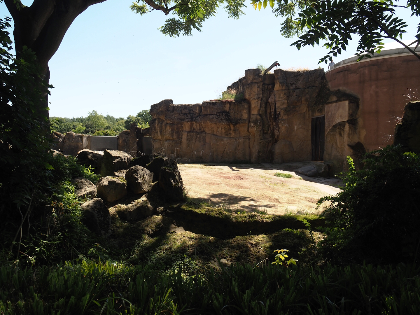 Second African bush elephant paddock, 2024-06-08