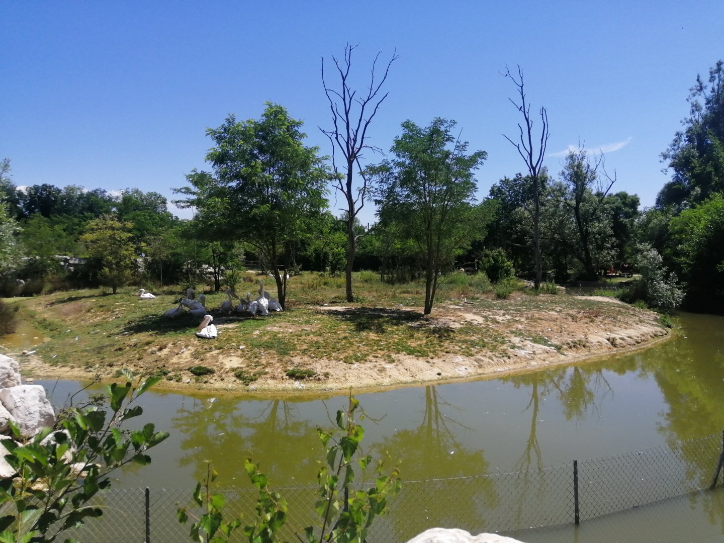 Second African exhibit