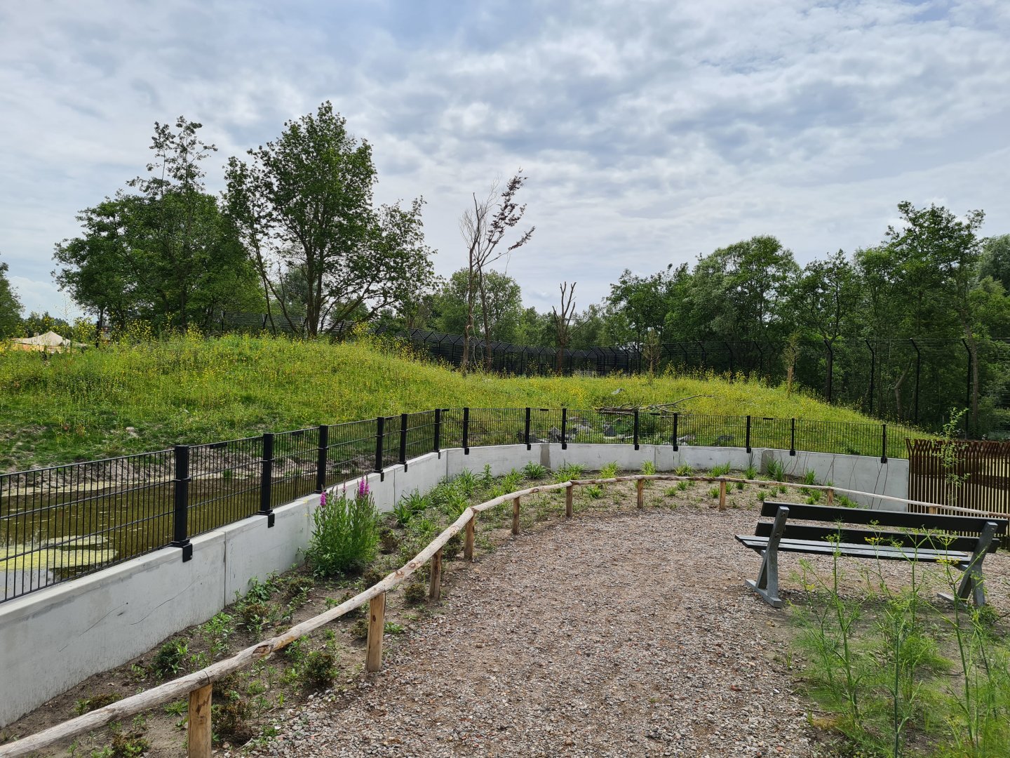 Second amur tiger enclosures