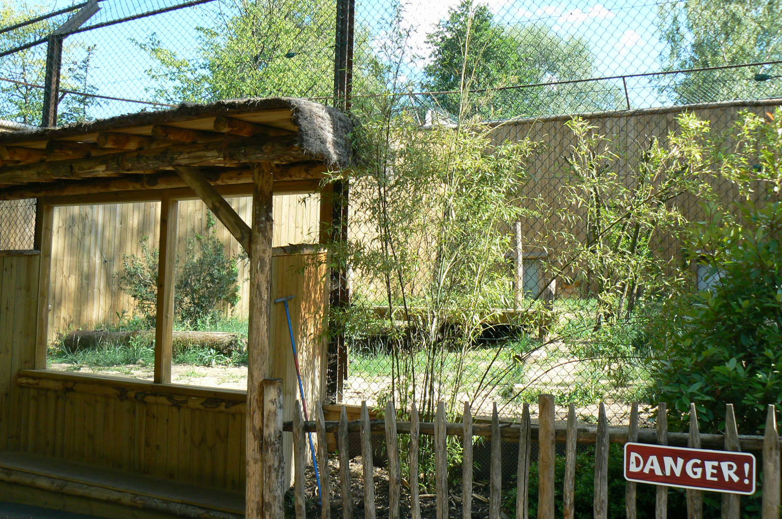 Second amur tigers exhibit