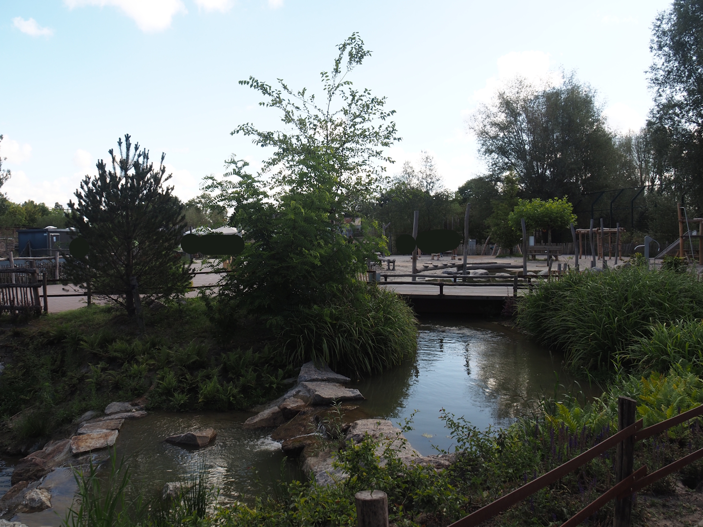 Second and larger new Amur tiger exhibit, 2025-08-24