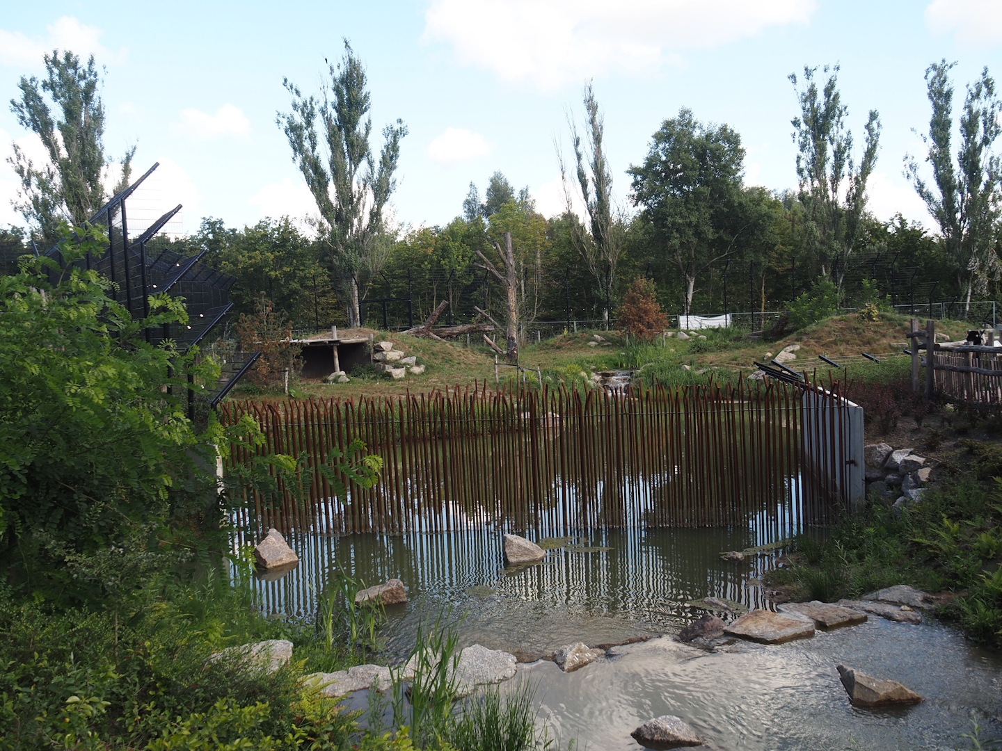 Second and larger new Amur tiger exhibit, 2025-08-24