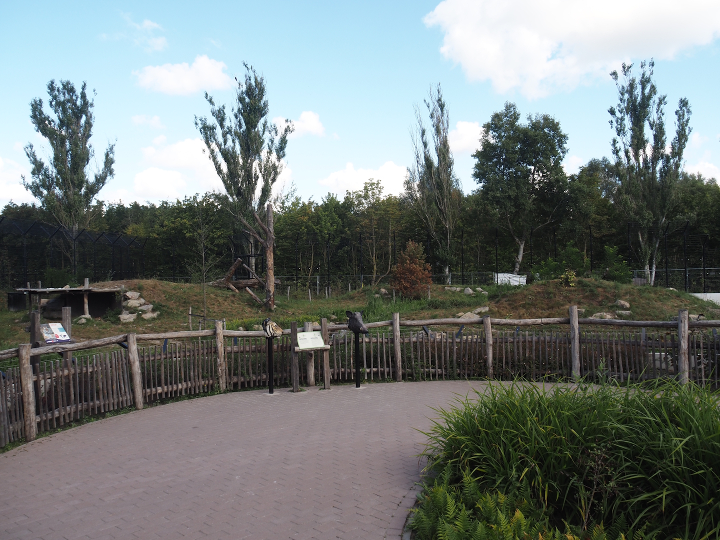 Second and larger new Amur tiger exhibit and walkway/viewing area, 2025-08-24