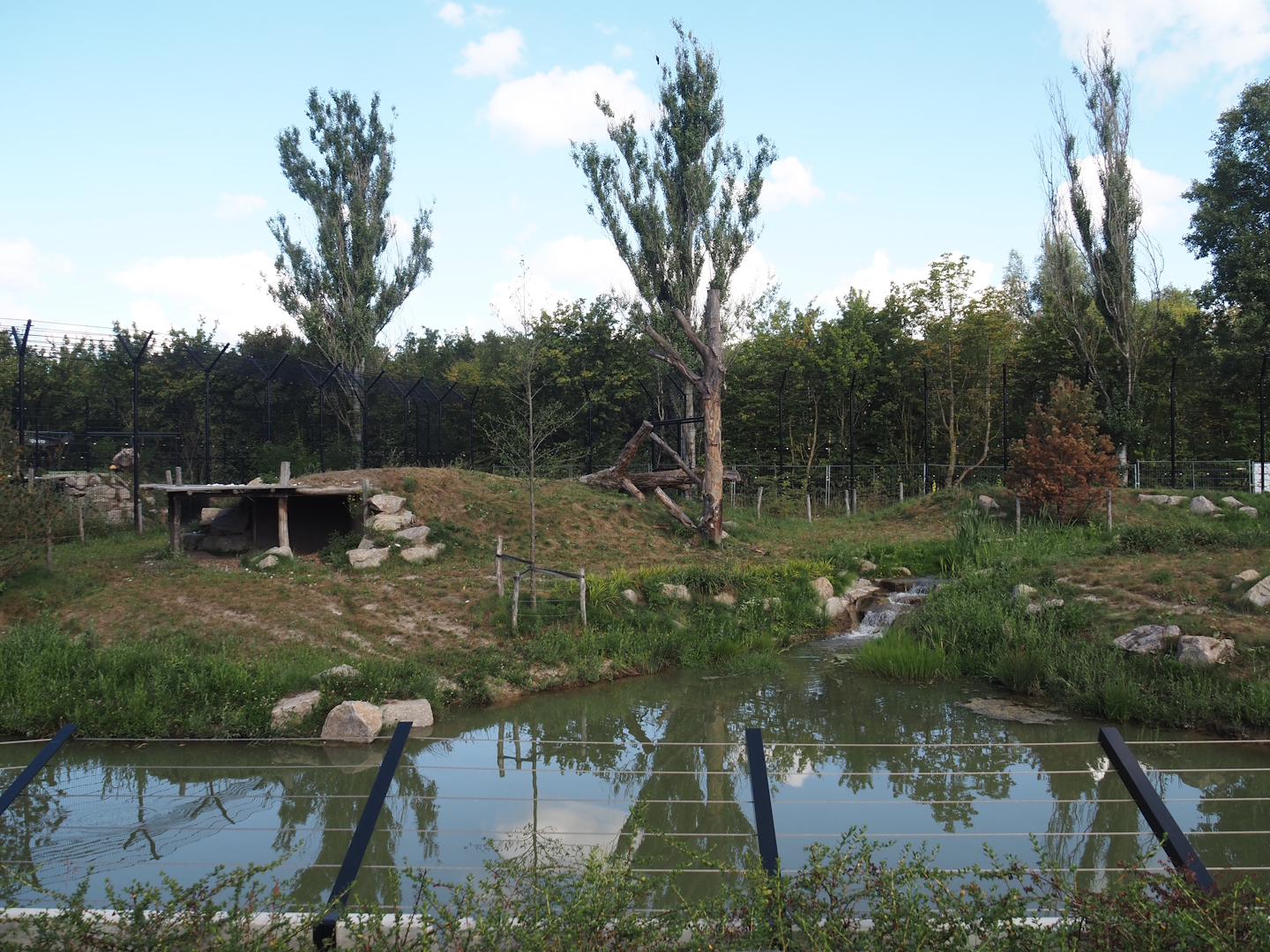 Second and larger new Amur tiger exhibit and walkway/viewing area, 2025-08-24