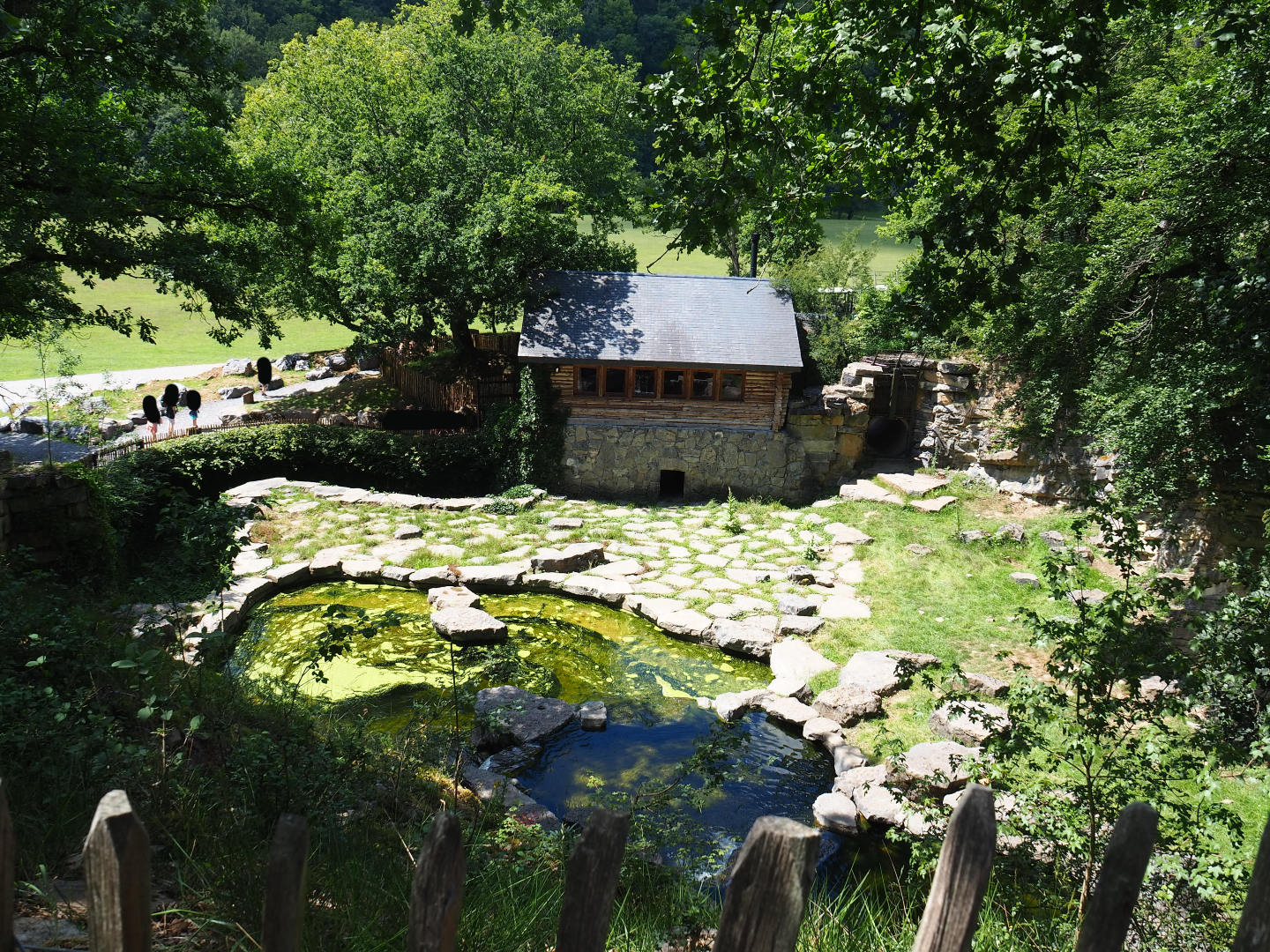 Second and original bear exhibit, 2020-07-12
