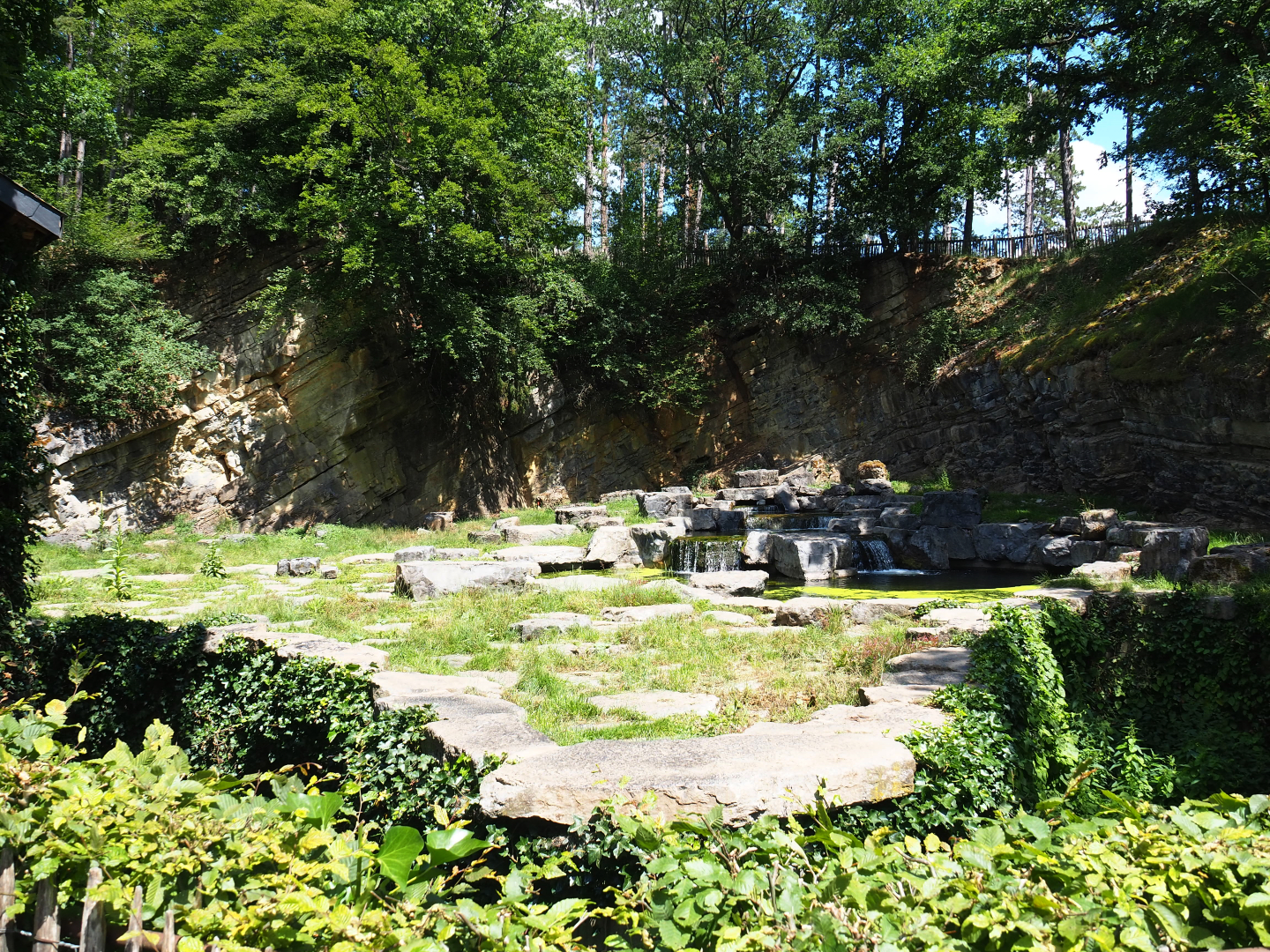 Second and original Eurasian brown bear exhibit, 2020-07-12