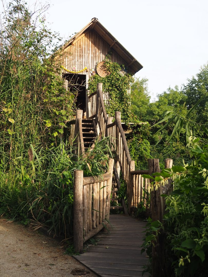 Second and smaller Asian elephant viewing lodge, 2023-09-19