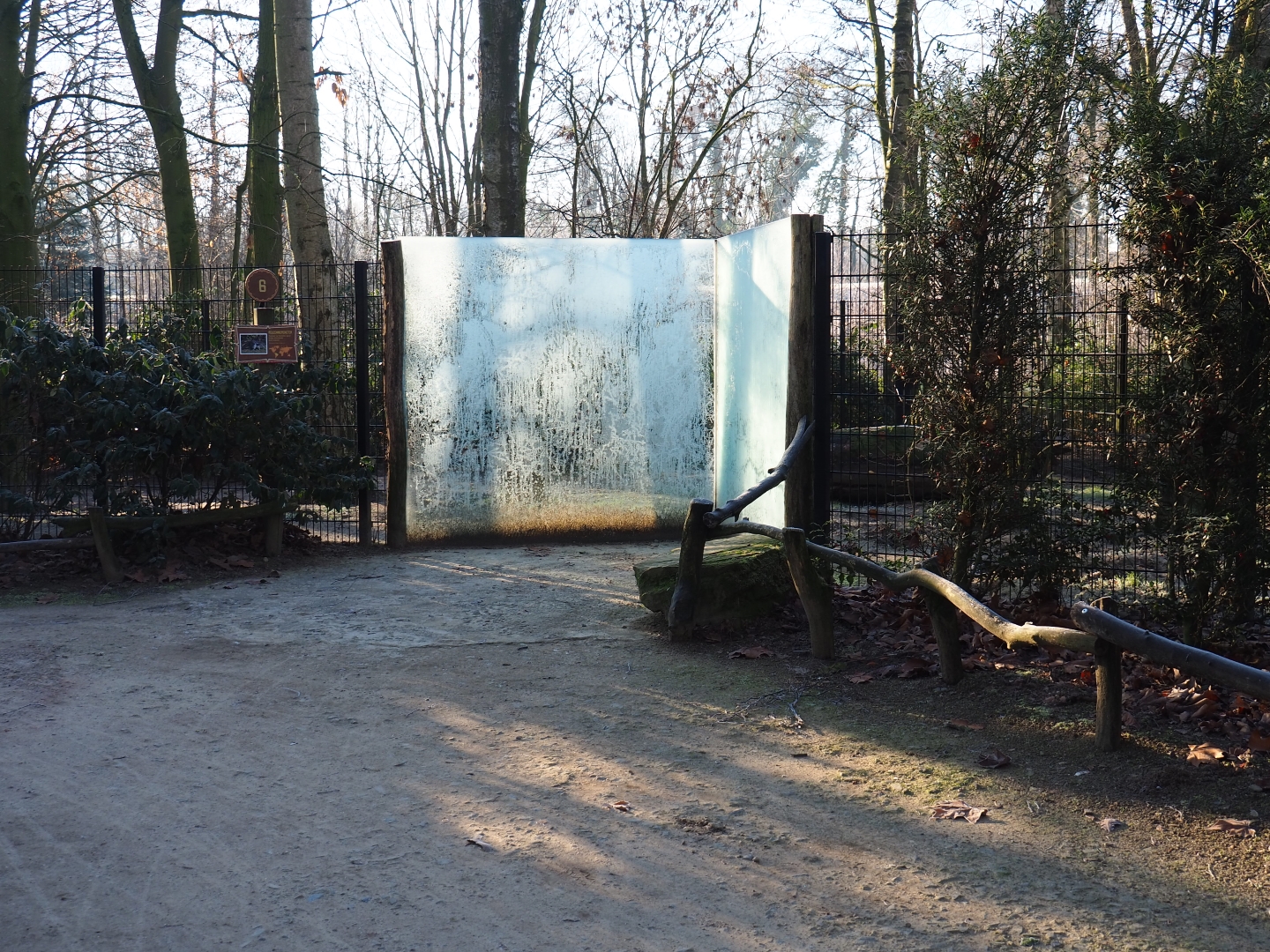 Second anteater yard (Jan 20th, 2019)