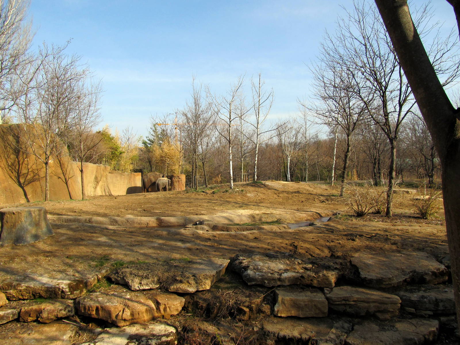 Second Asian Elephant Exhibit