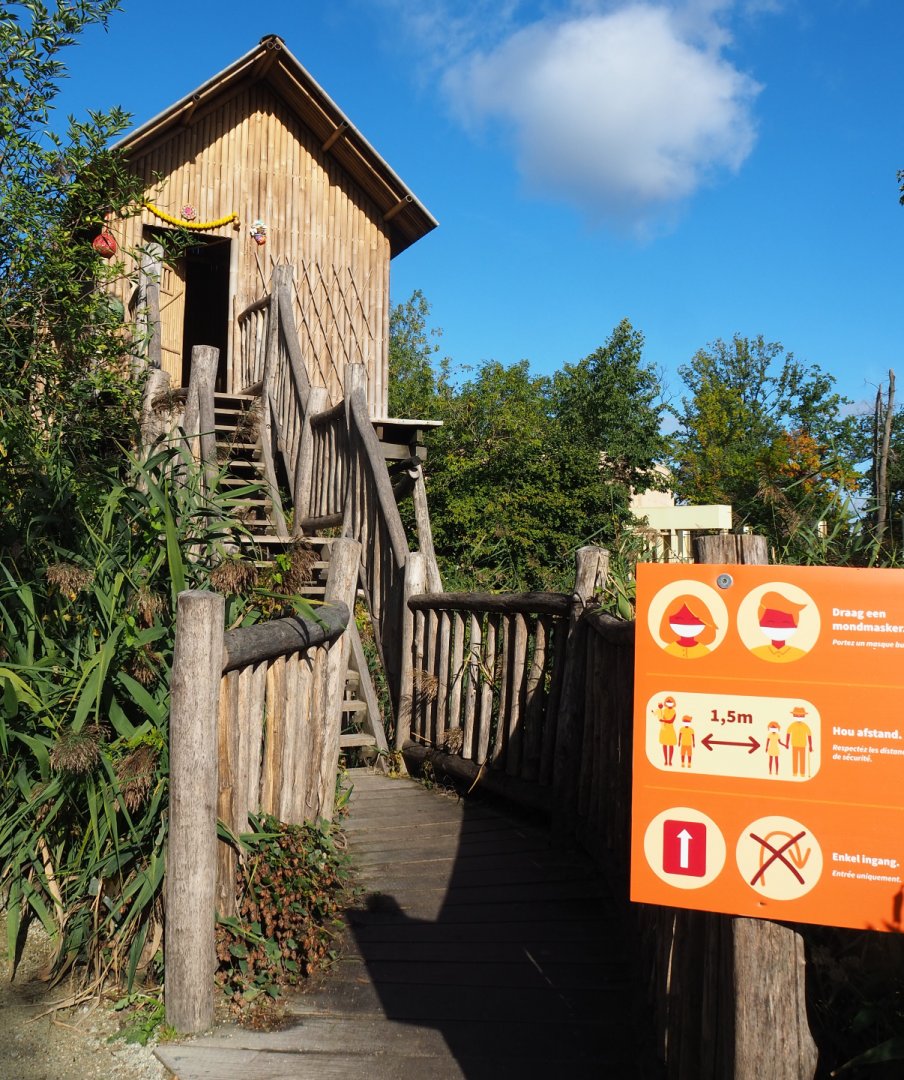 Second Asian elephant viewing lodge, 2020-10-10