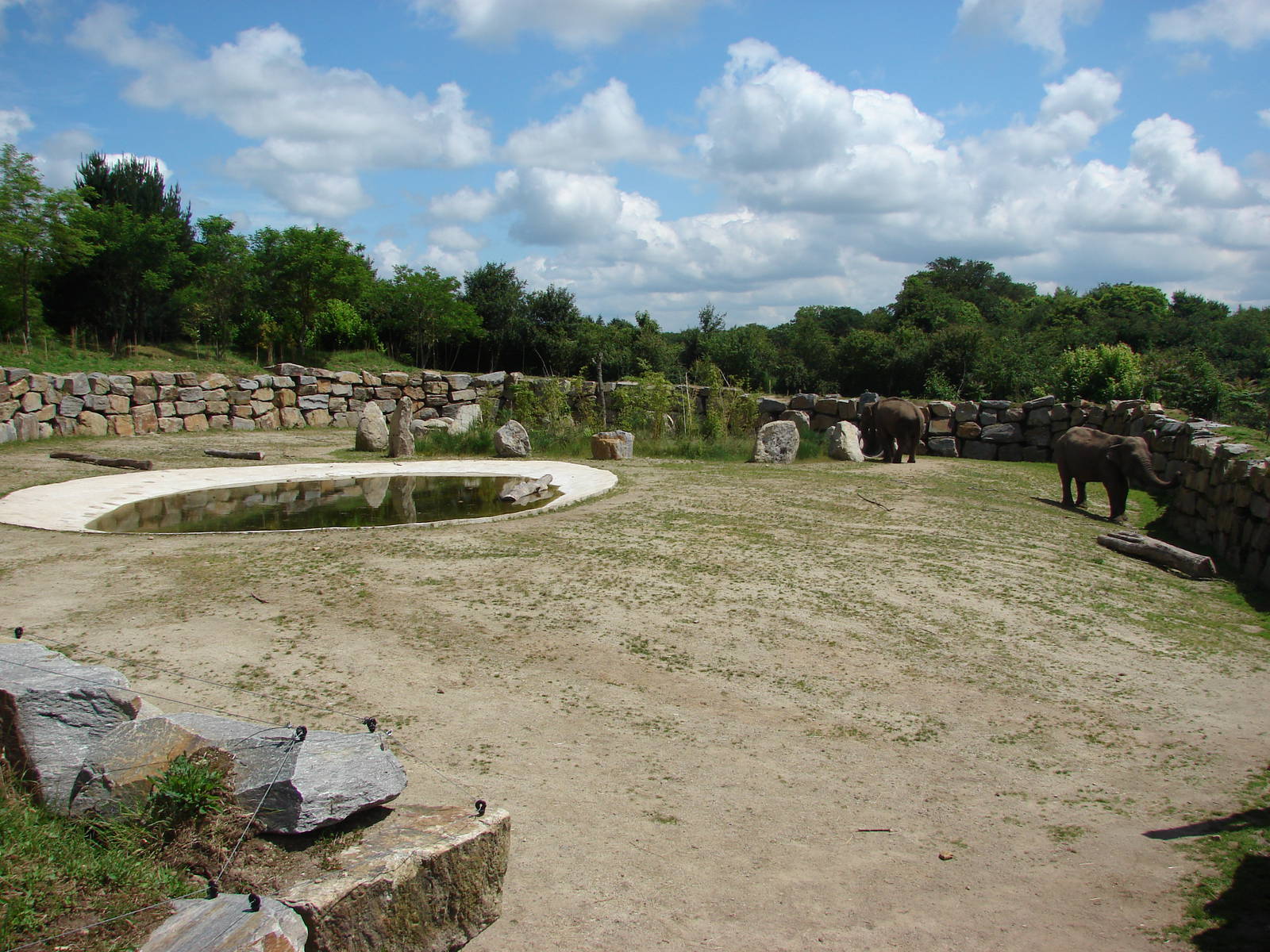 Second asian elephants exhibit