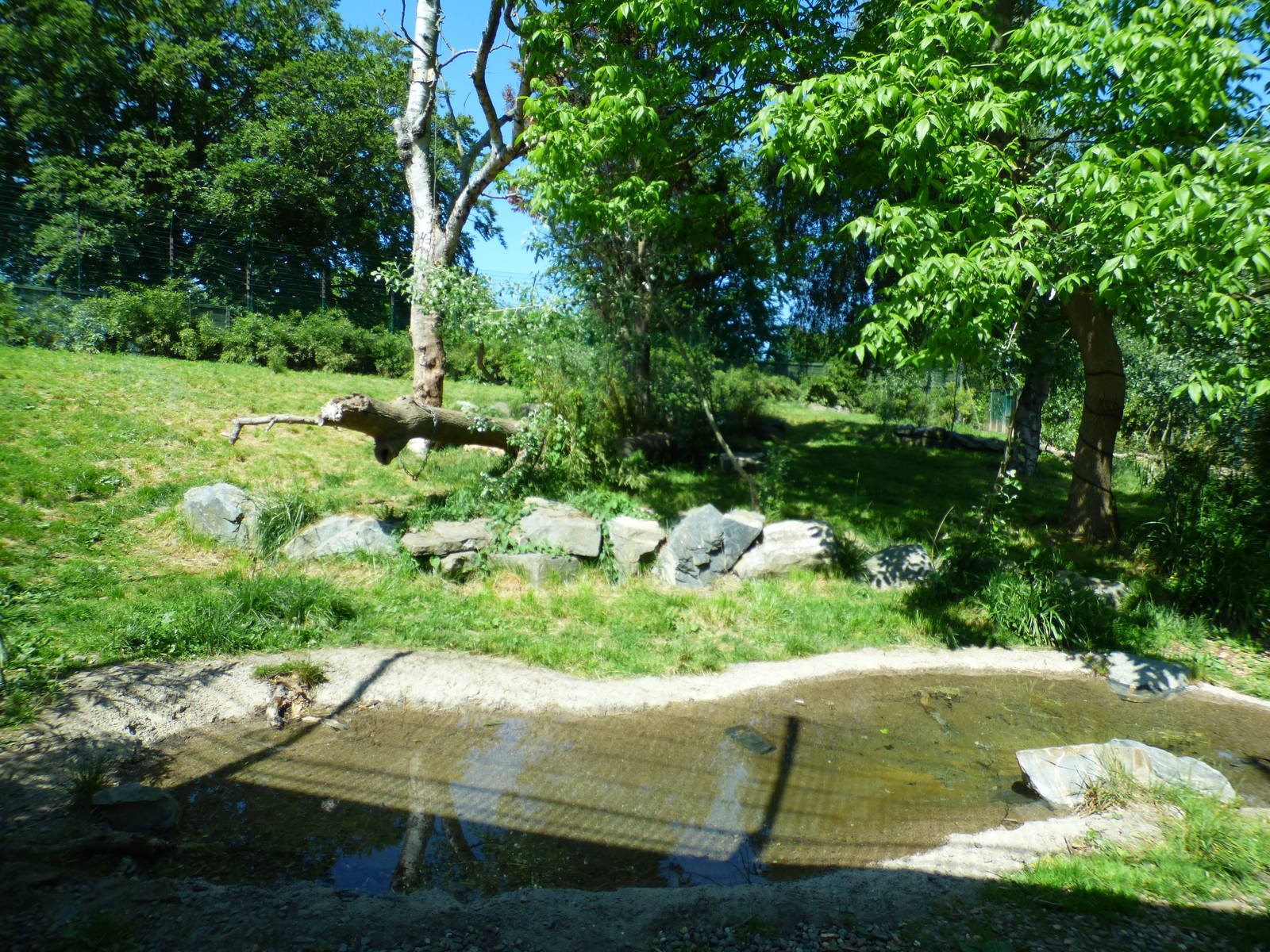Second Asian Lion Enclosure
