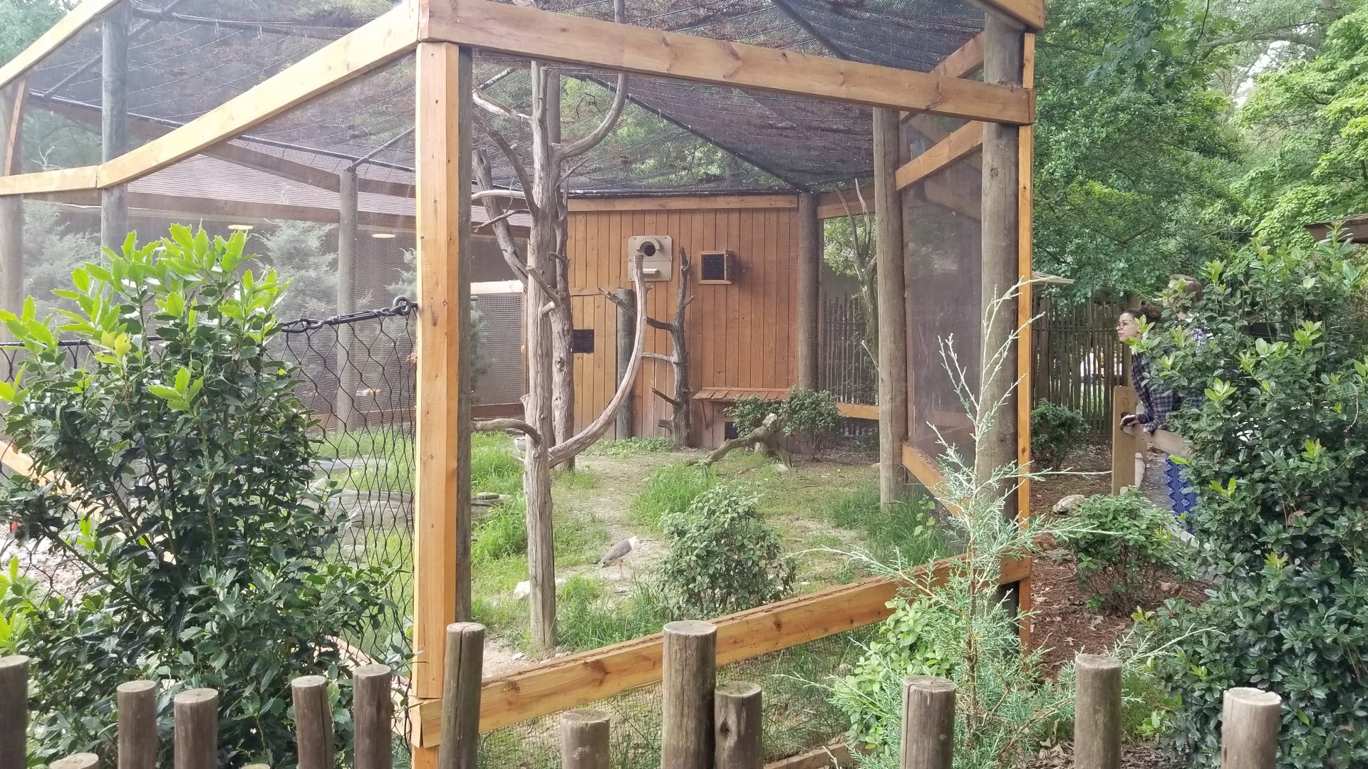 Second australian aviary