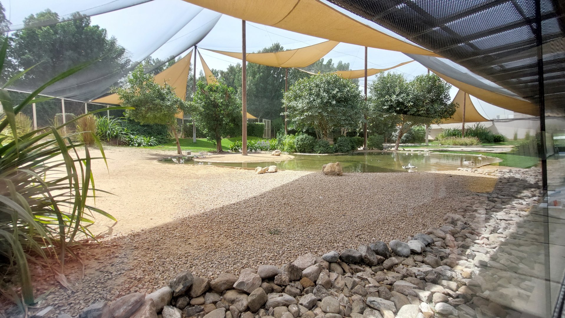 Second aviary - Mudflat birds