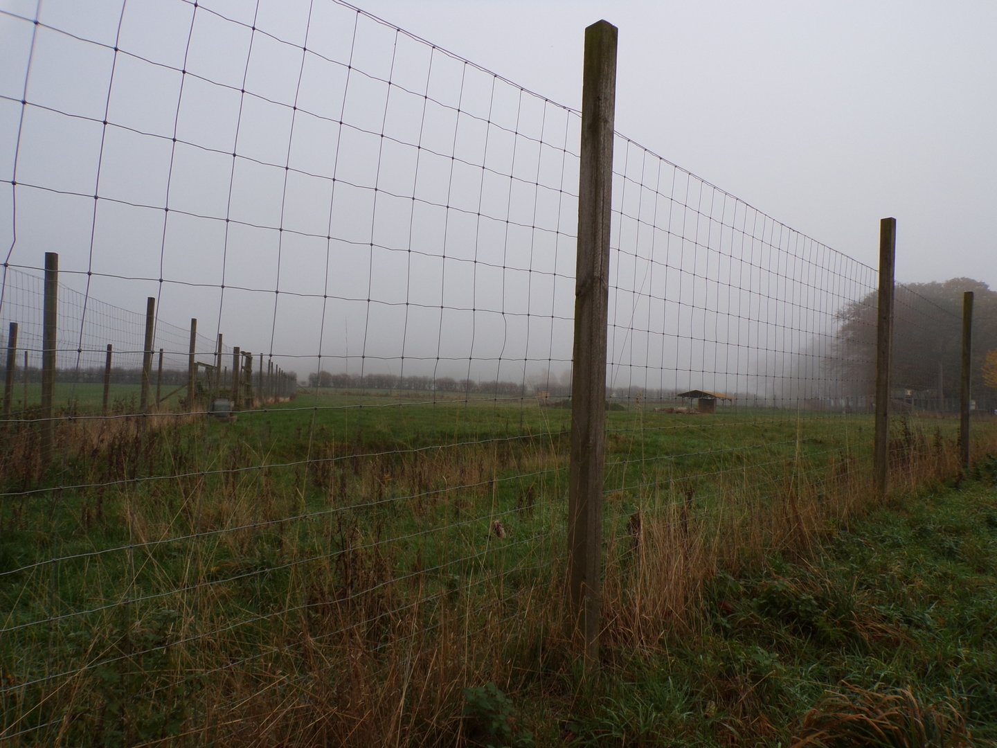 Second axis deer enclosure