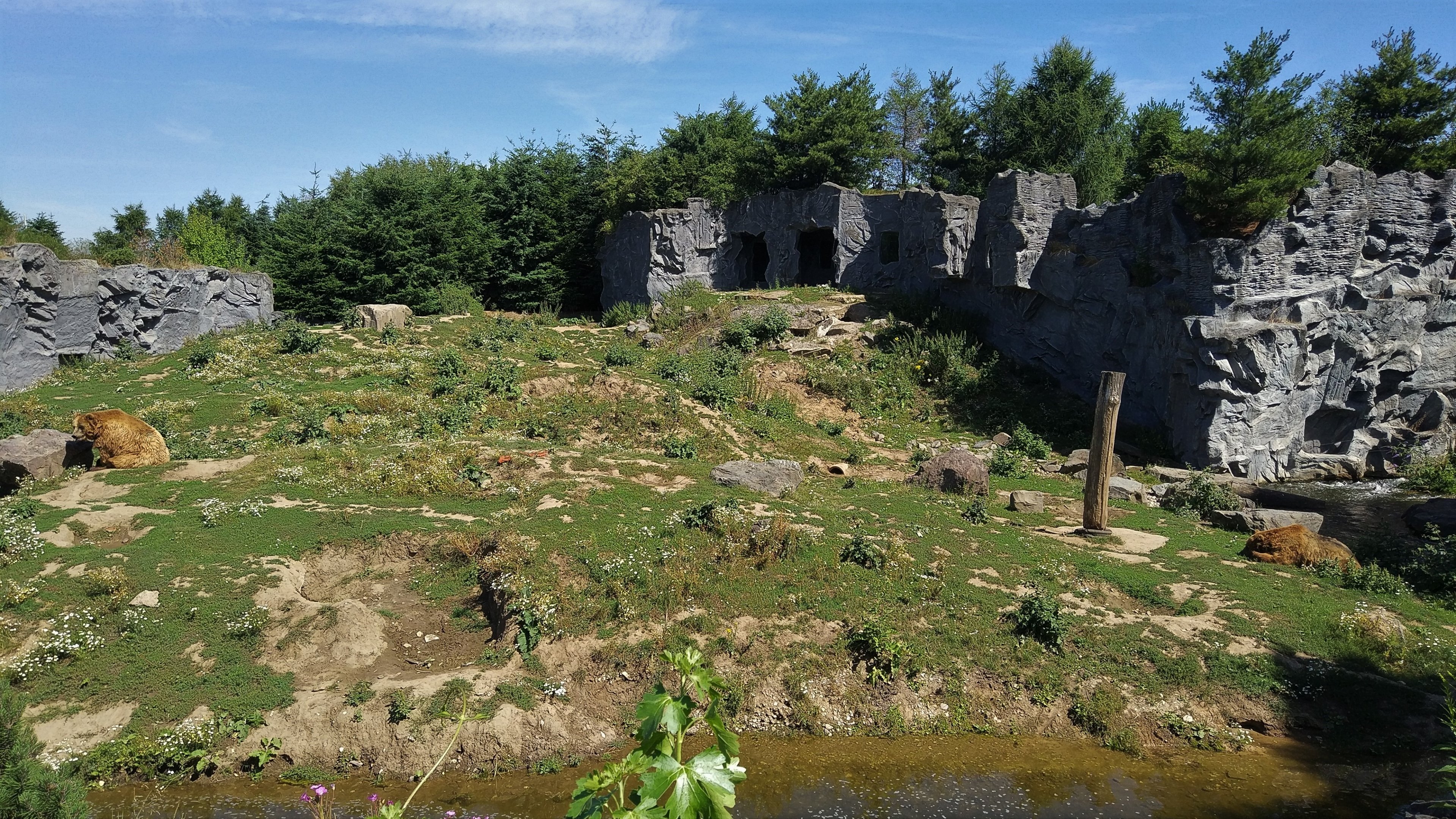 Second Bear Enclosure