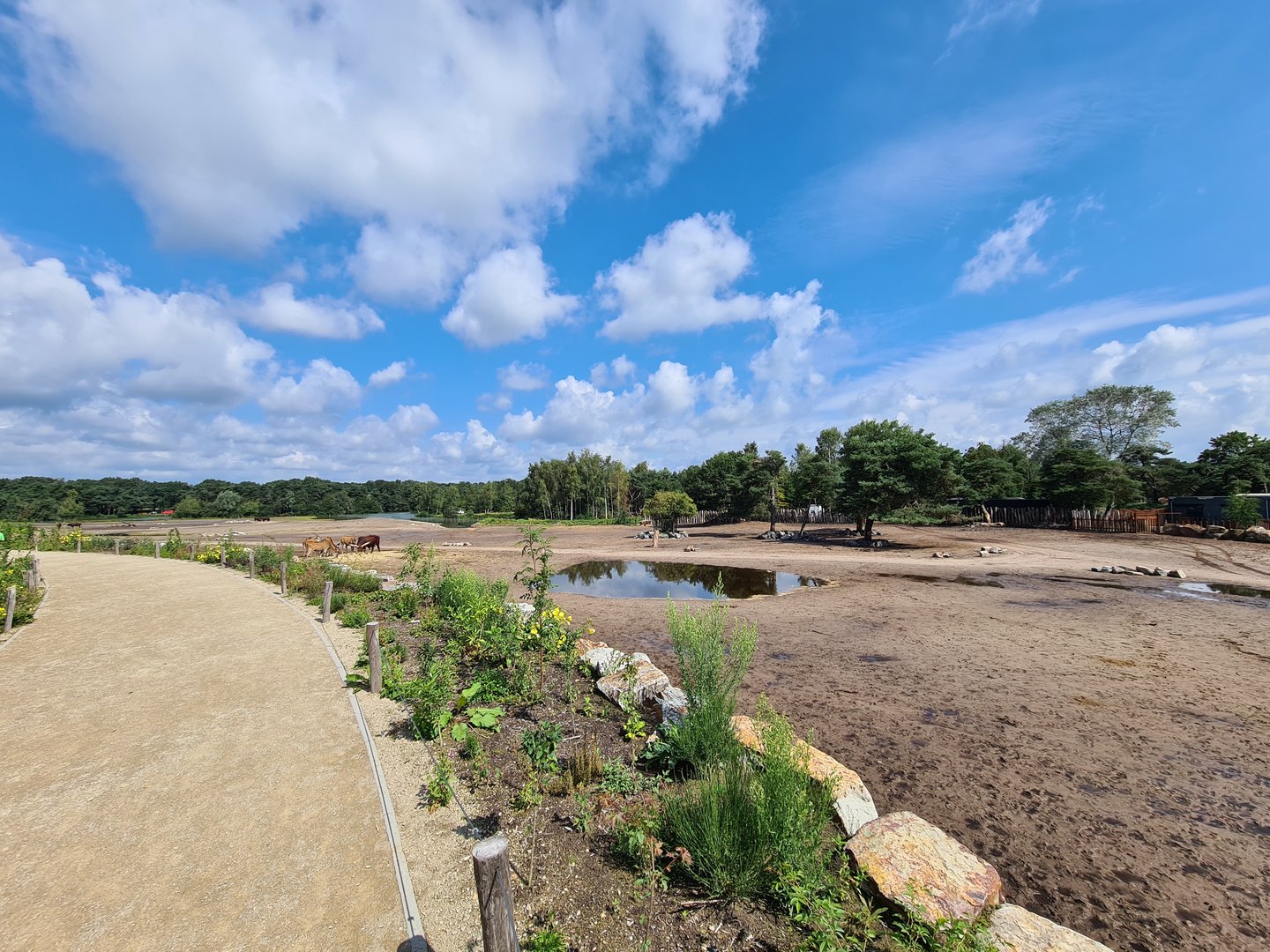 Second big Savannah paddock