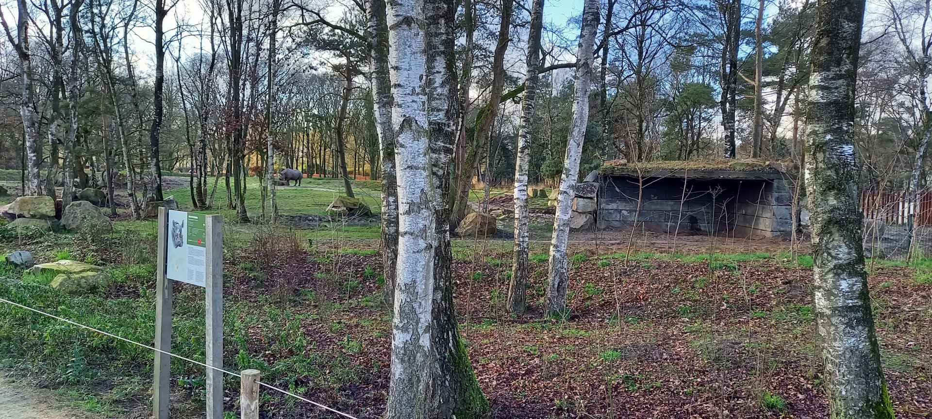 Second Black rhino enclosure ( female enclosure )