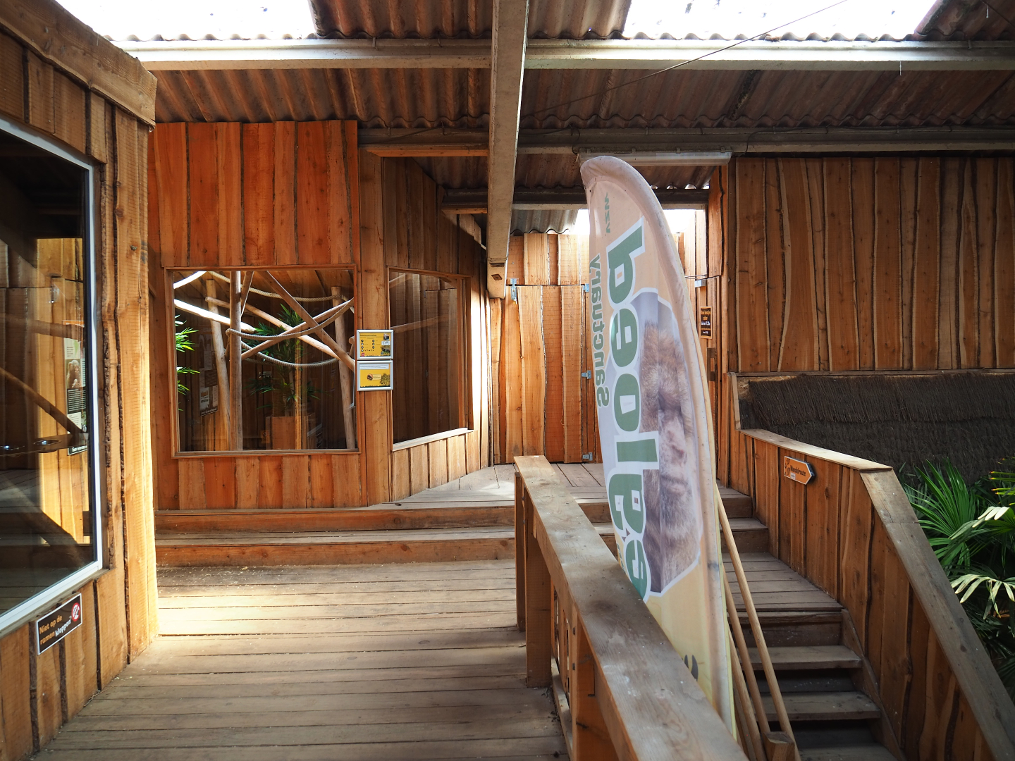 Second black tufted-ear marmoset exhibit, 2020-09-12