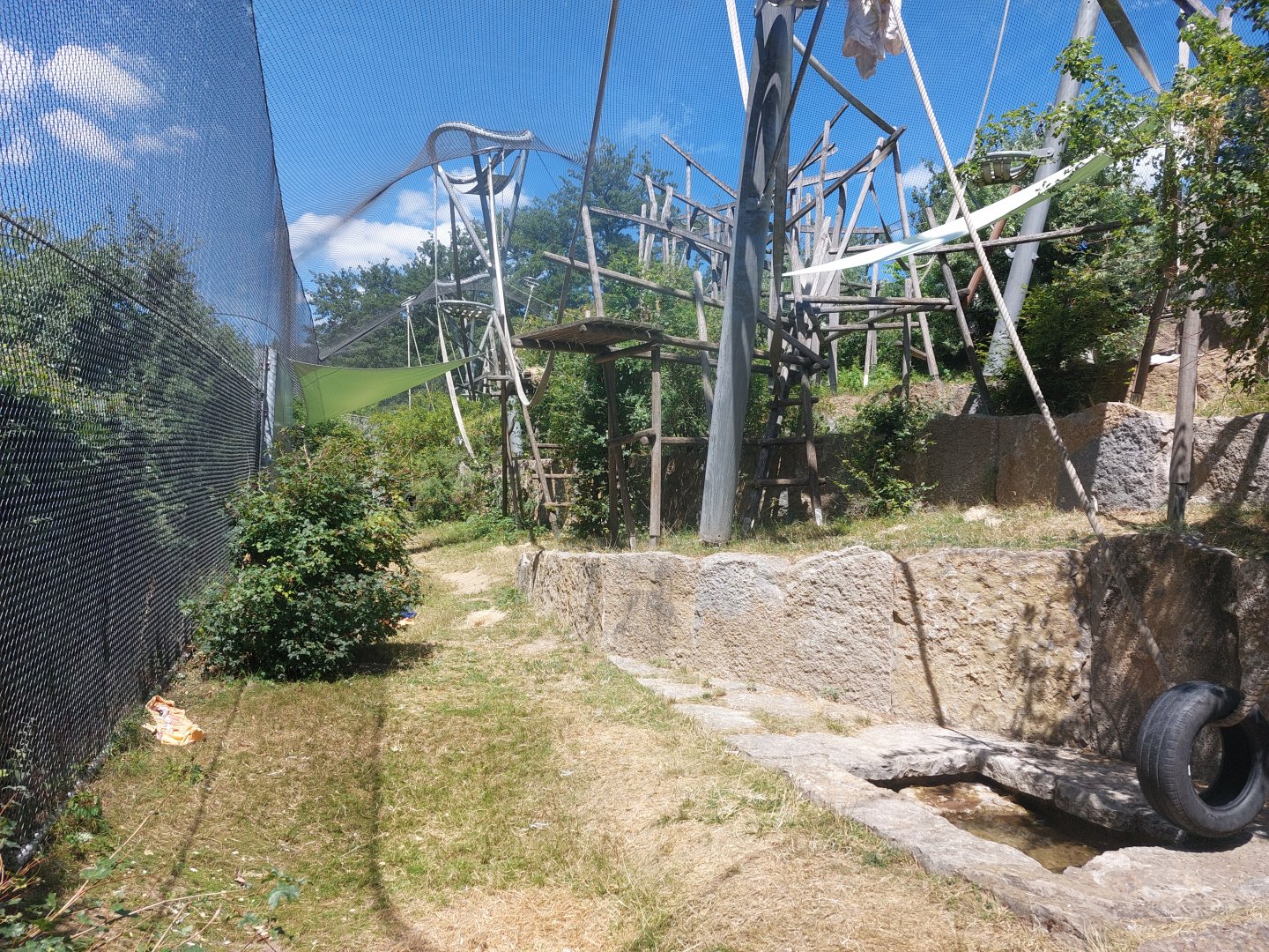 Second bonobo enclosure