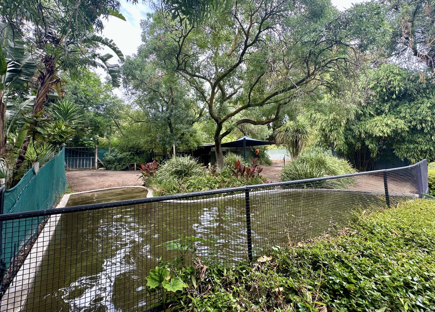 Second Brazilian Tapir/Patagonian Mara Exhibit