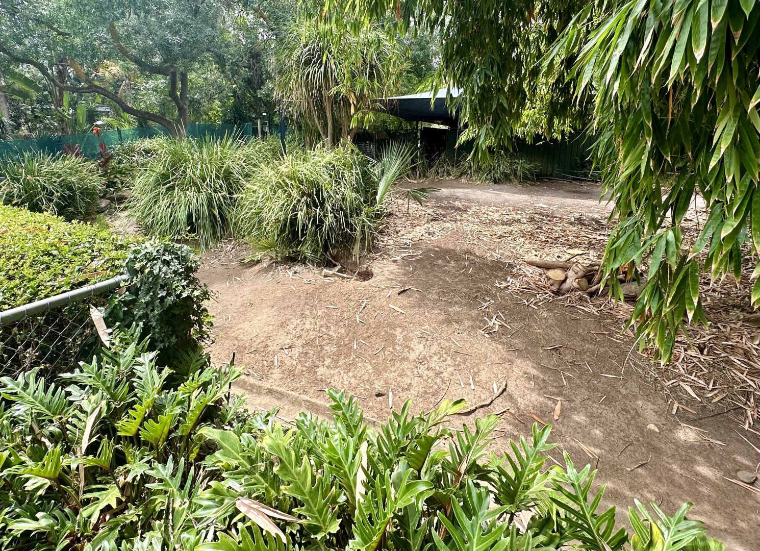 Second Brazilian Tapir/Patagonian Mara Exhibit