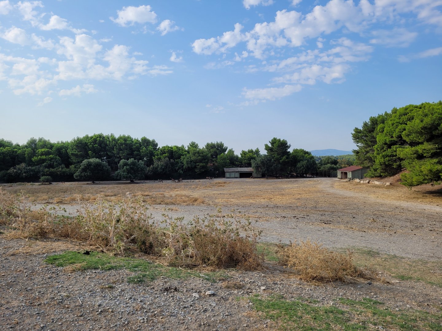 Second Brousse exhibit -Réserve Africaine de Sigean (2022)