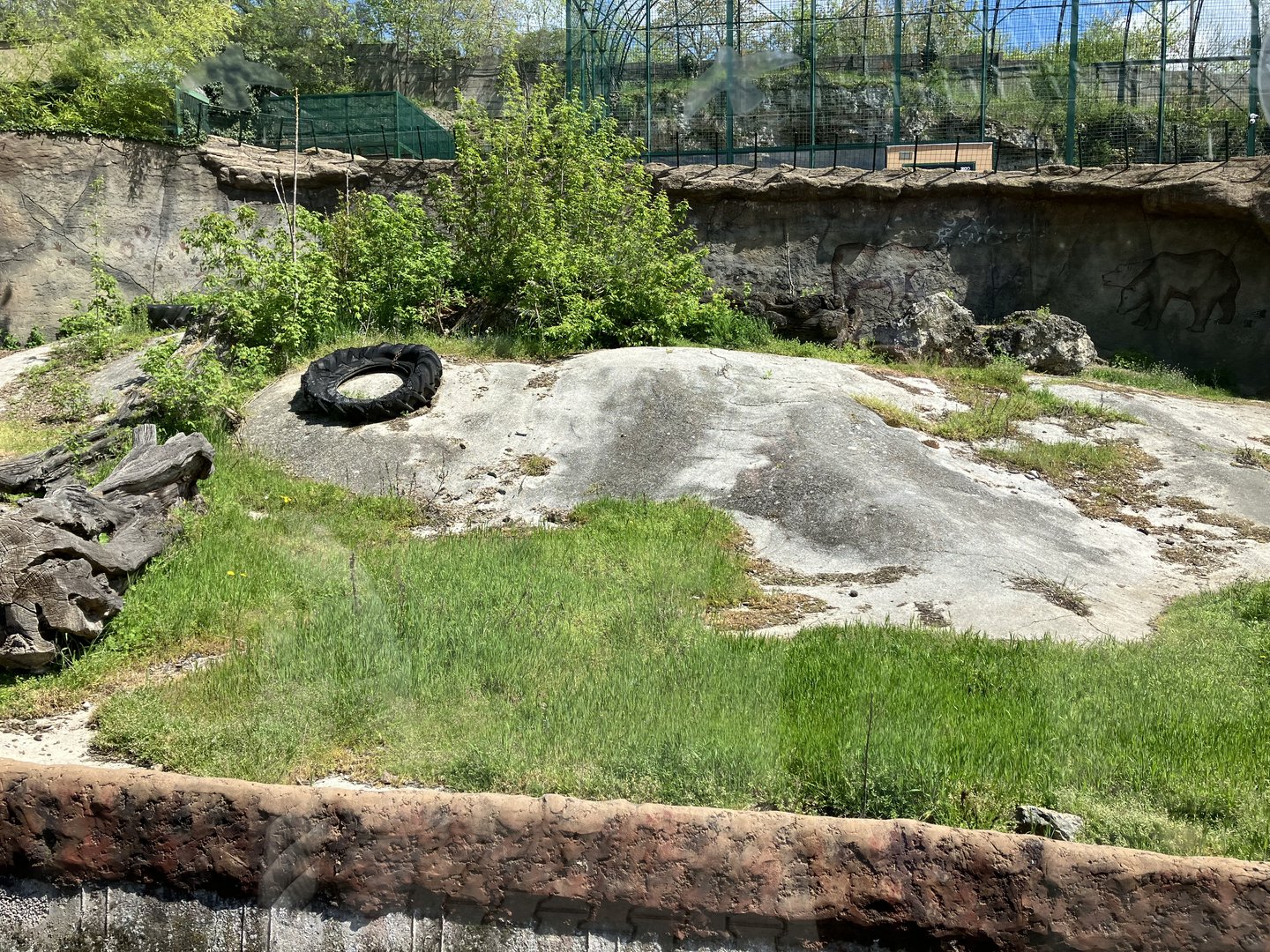 Second brown bear enclosure