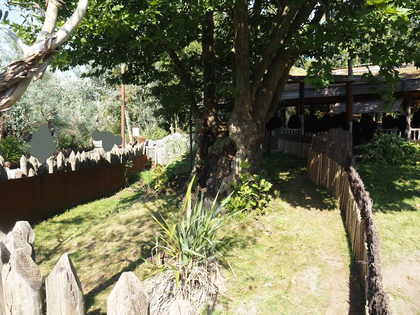 Second Brown Dorcopsis exhibit next to Marsupial and Koala house, 2024-09-17