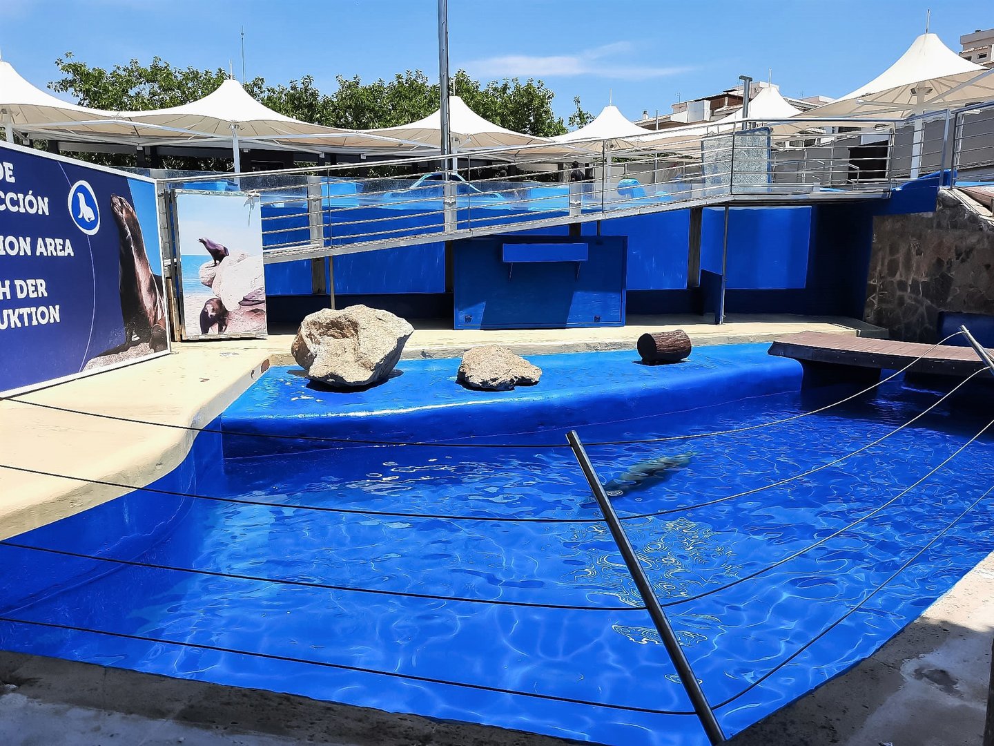 Second California sea lion enclosure