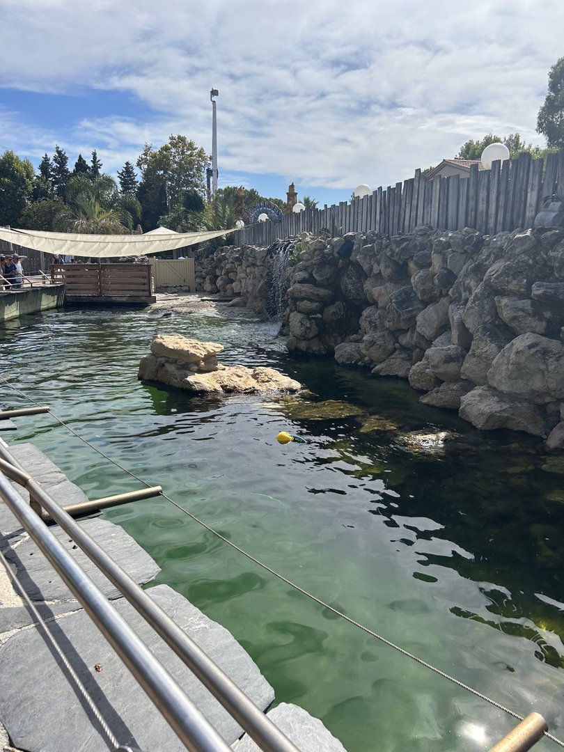 Second Californian sea lion pool
