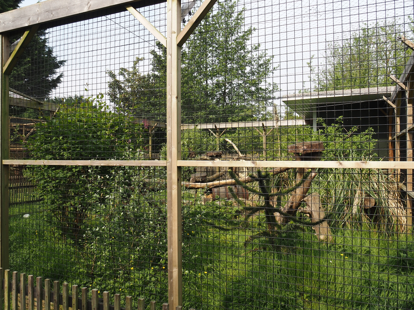 Second Caracal exhibit, 2024-05-11