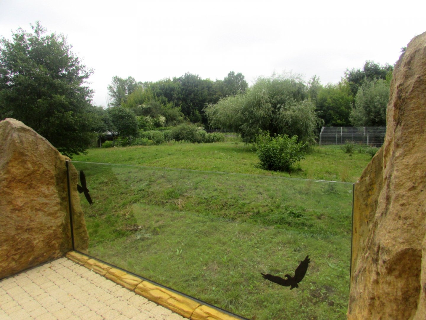 Second cheetah enclosure