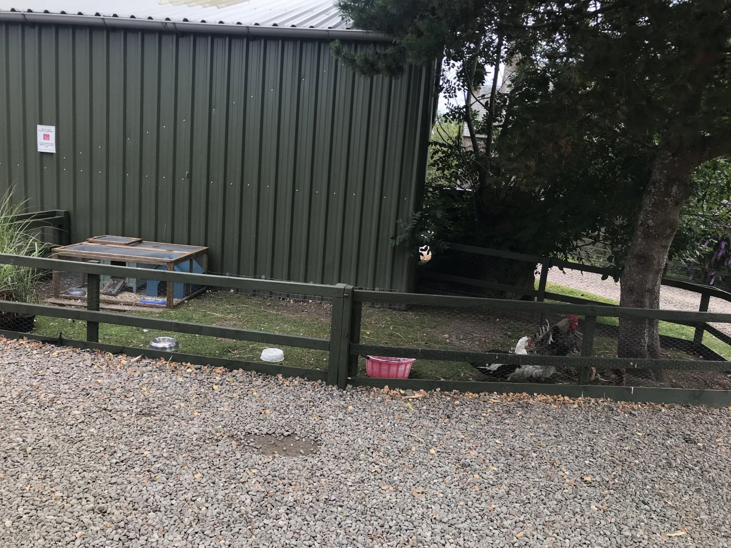 Second chicken enclosure