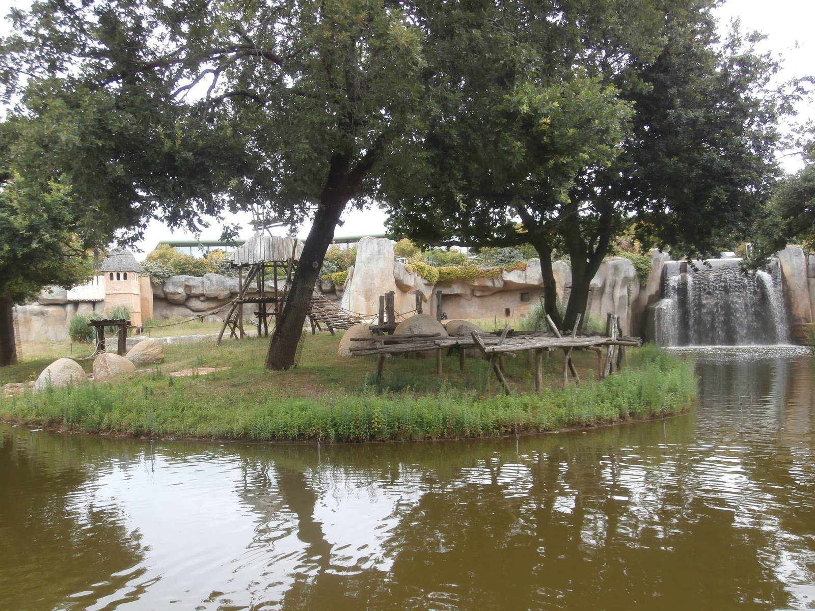 Second chimpanzee island