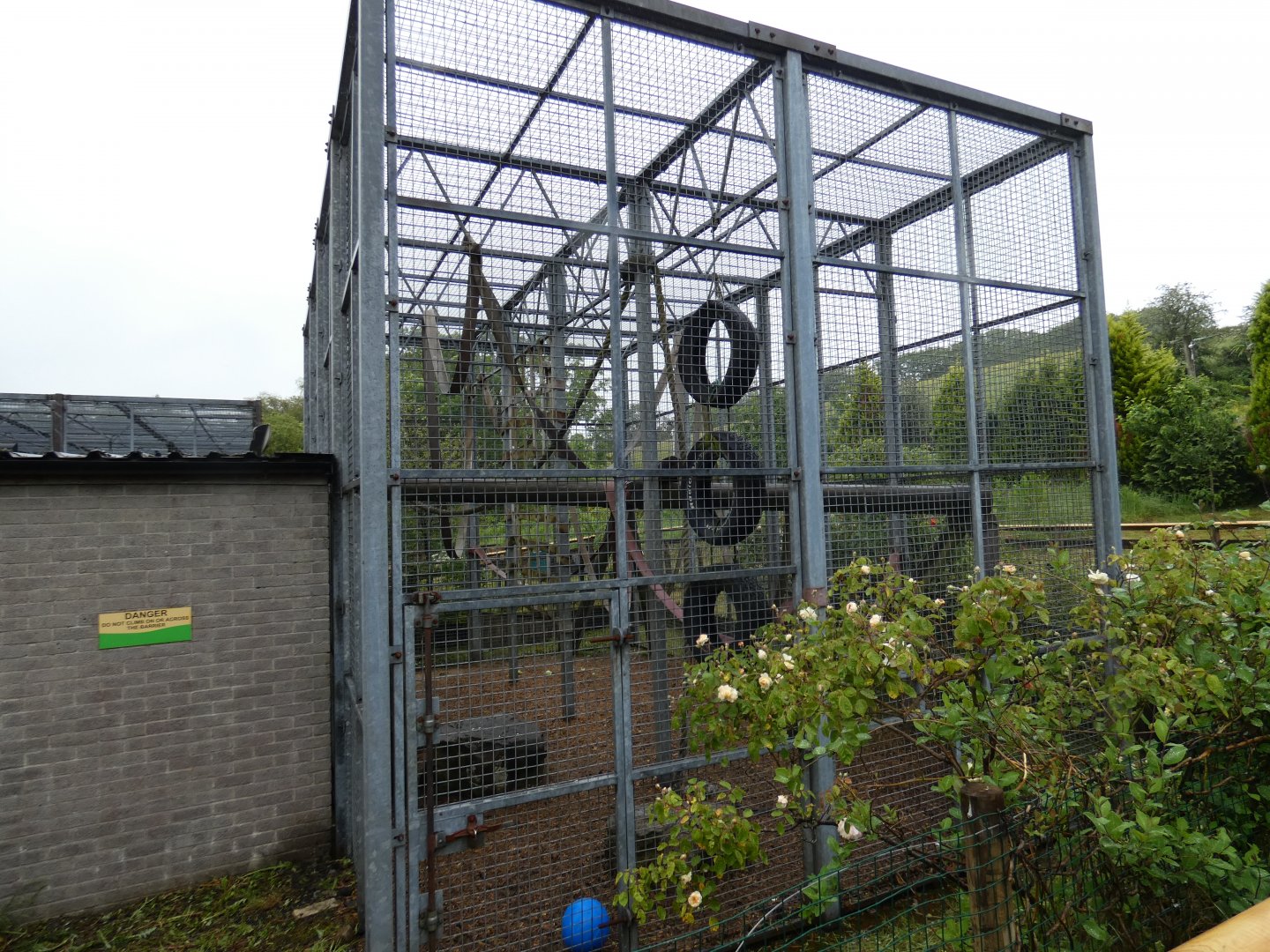 Second Chimpanzee outdoor enclosure