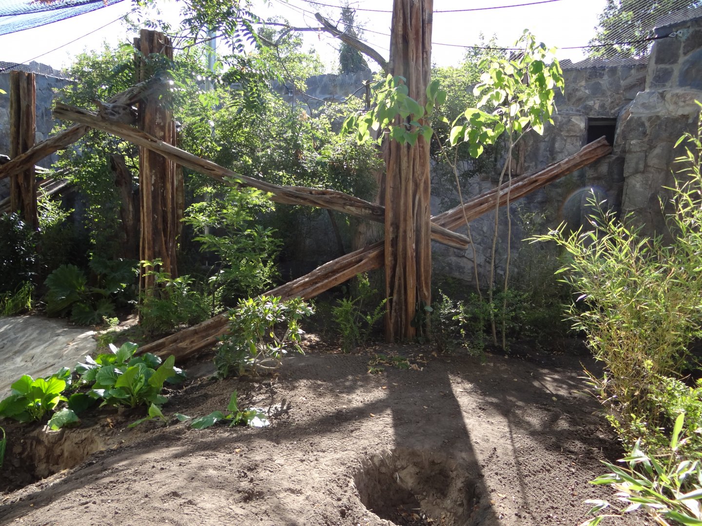 Second Clouded Leopard enclosure under construction