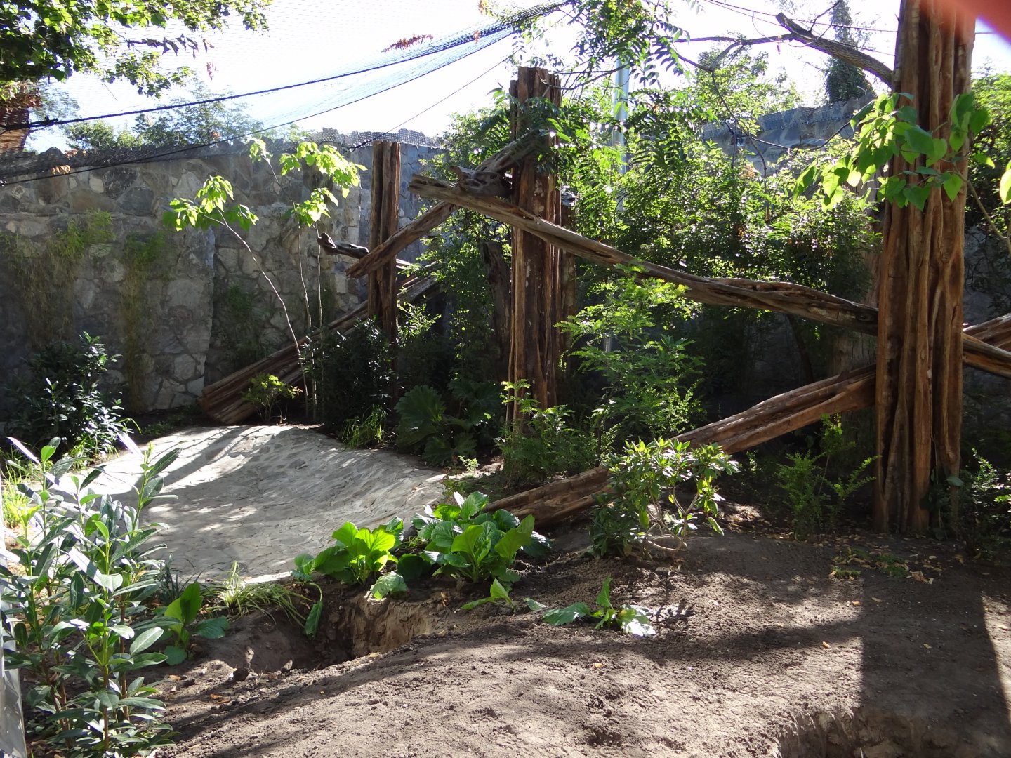 Second Clouded Leopard enclosure under construction