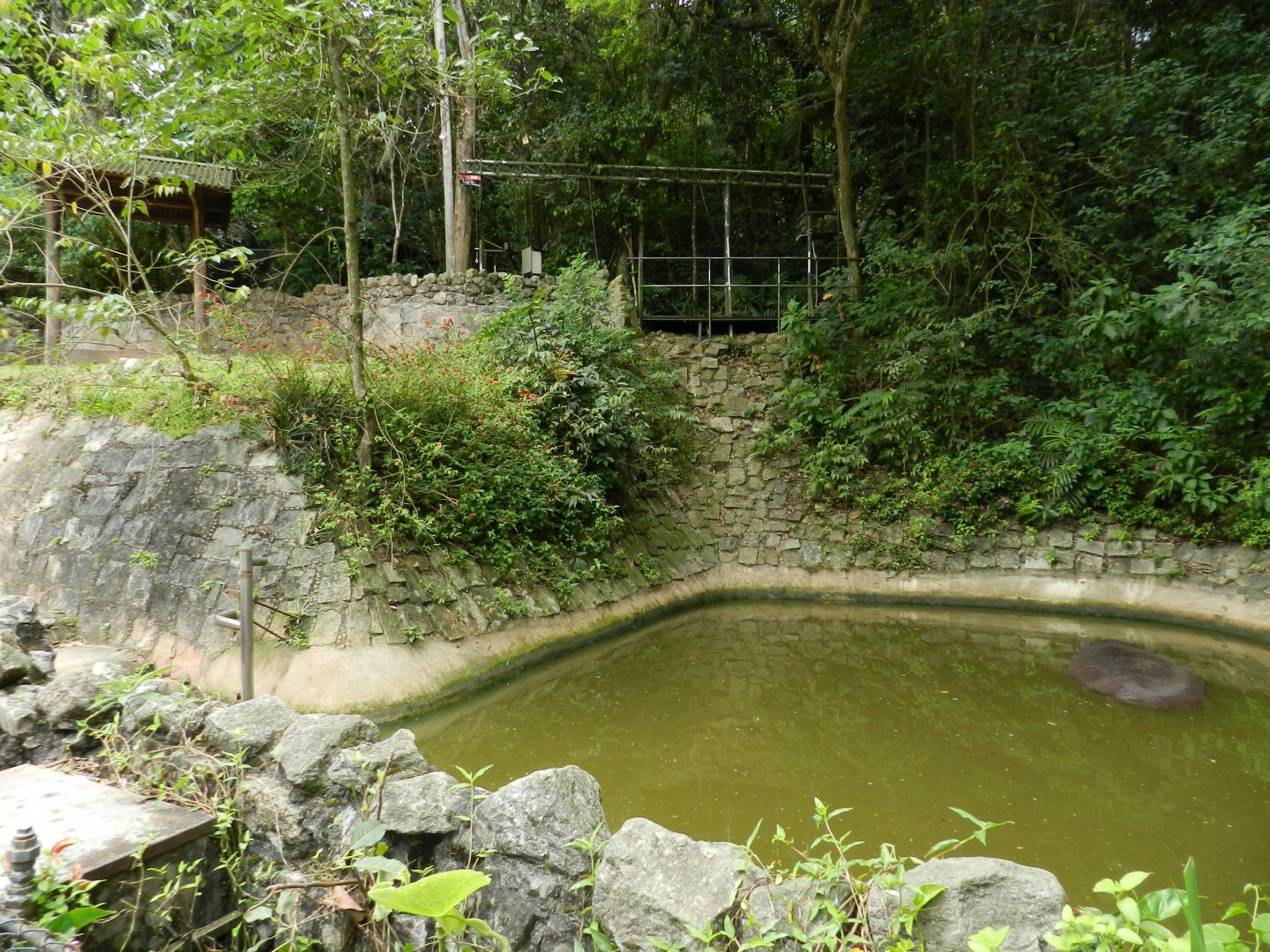 second common hipopotamus exhibit - Zoo São Paulo