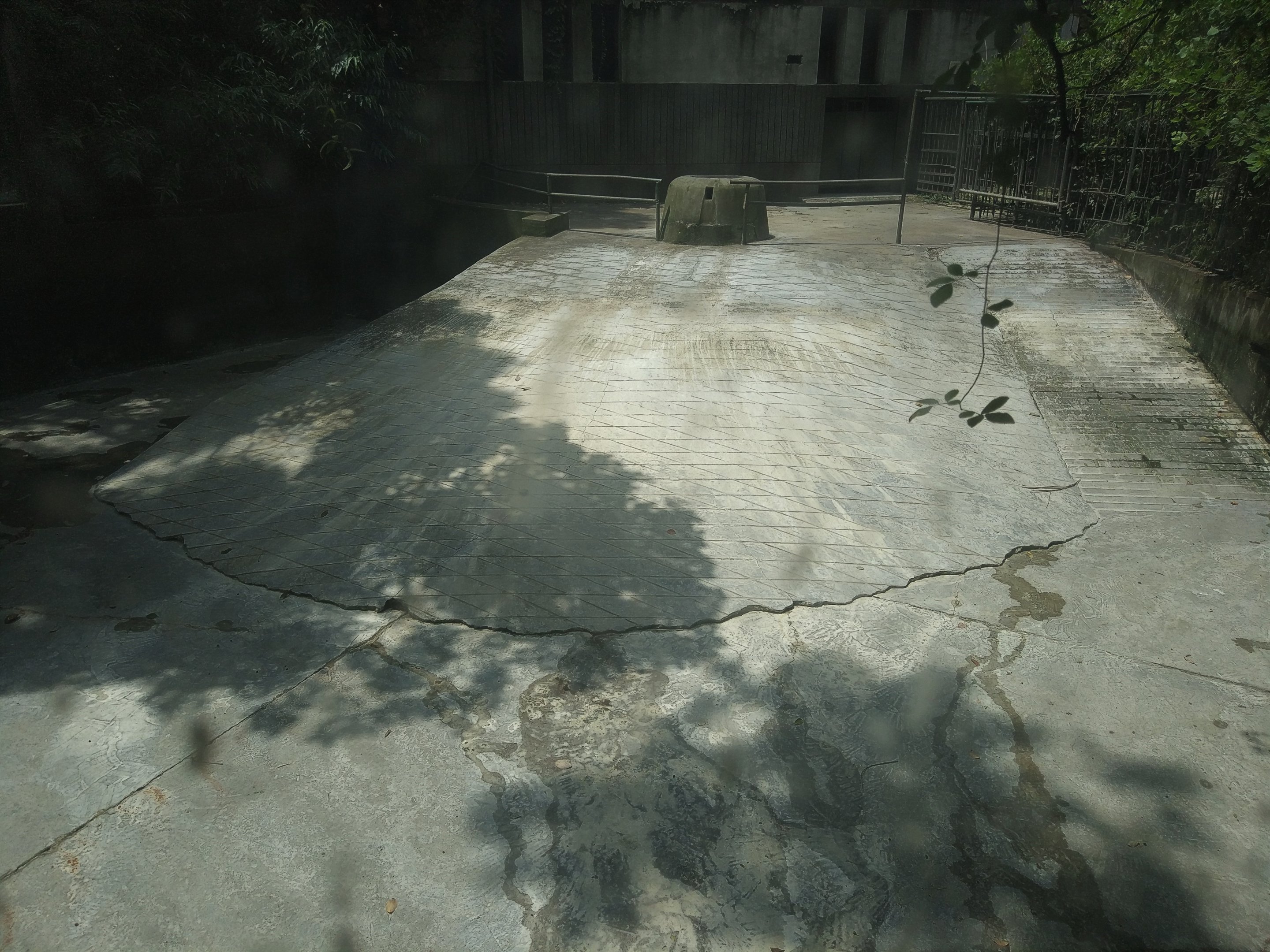 Second Common Hippo Pool