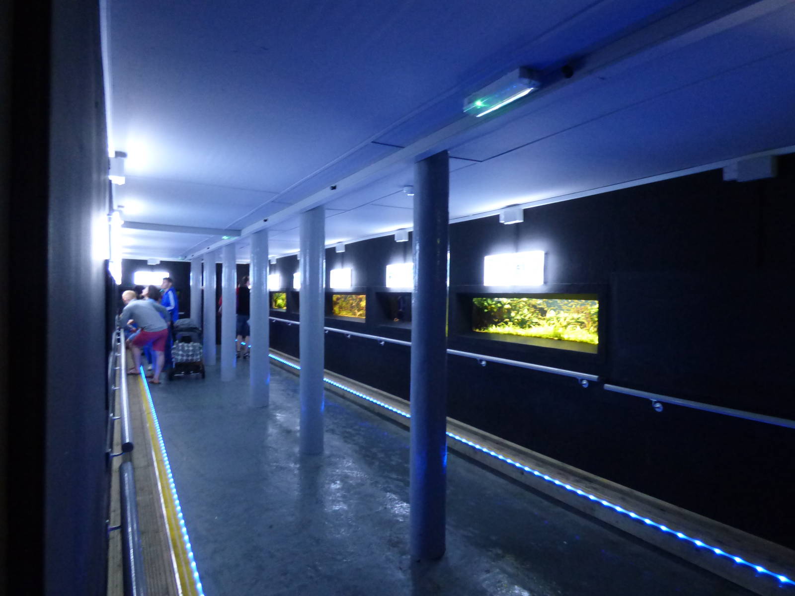 Second Corridor in Refurbished Aquarium