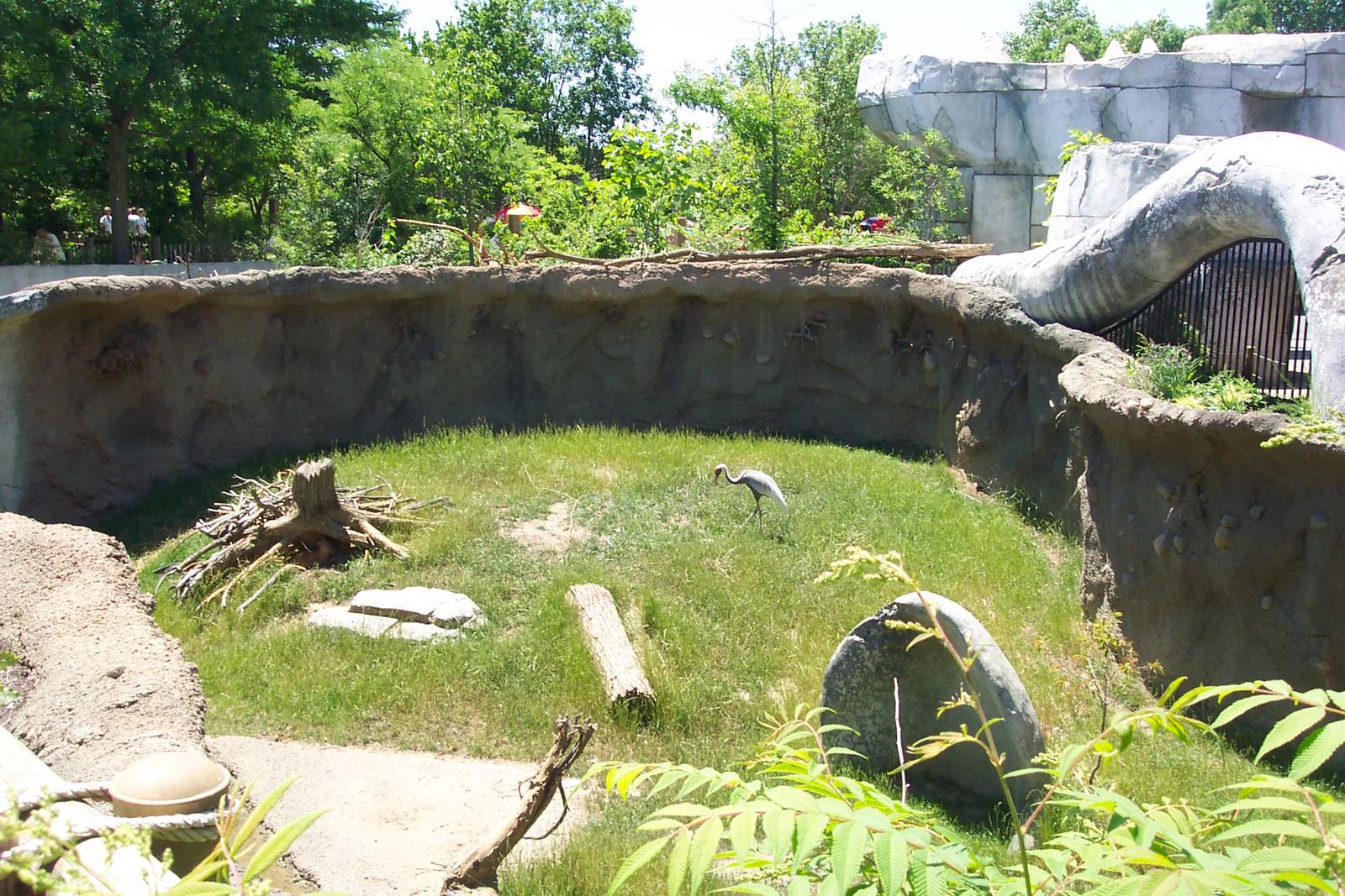 Second Crane/Deer Yard