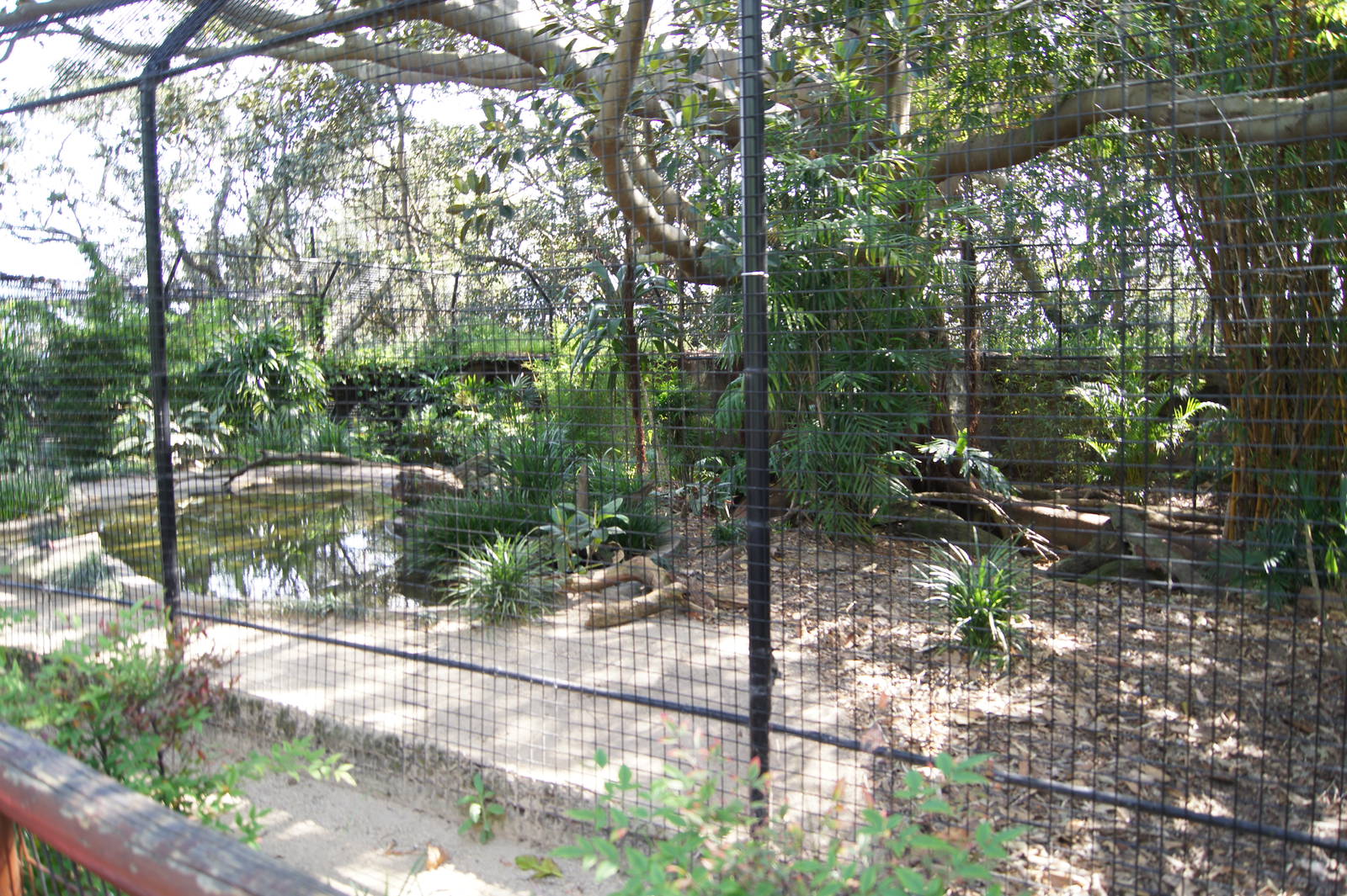 Second Dhole Exhibit