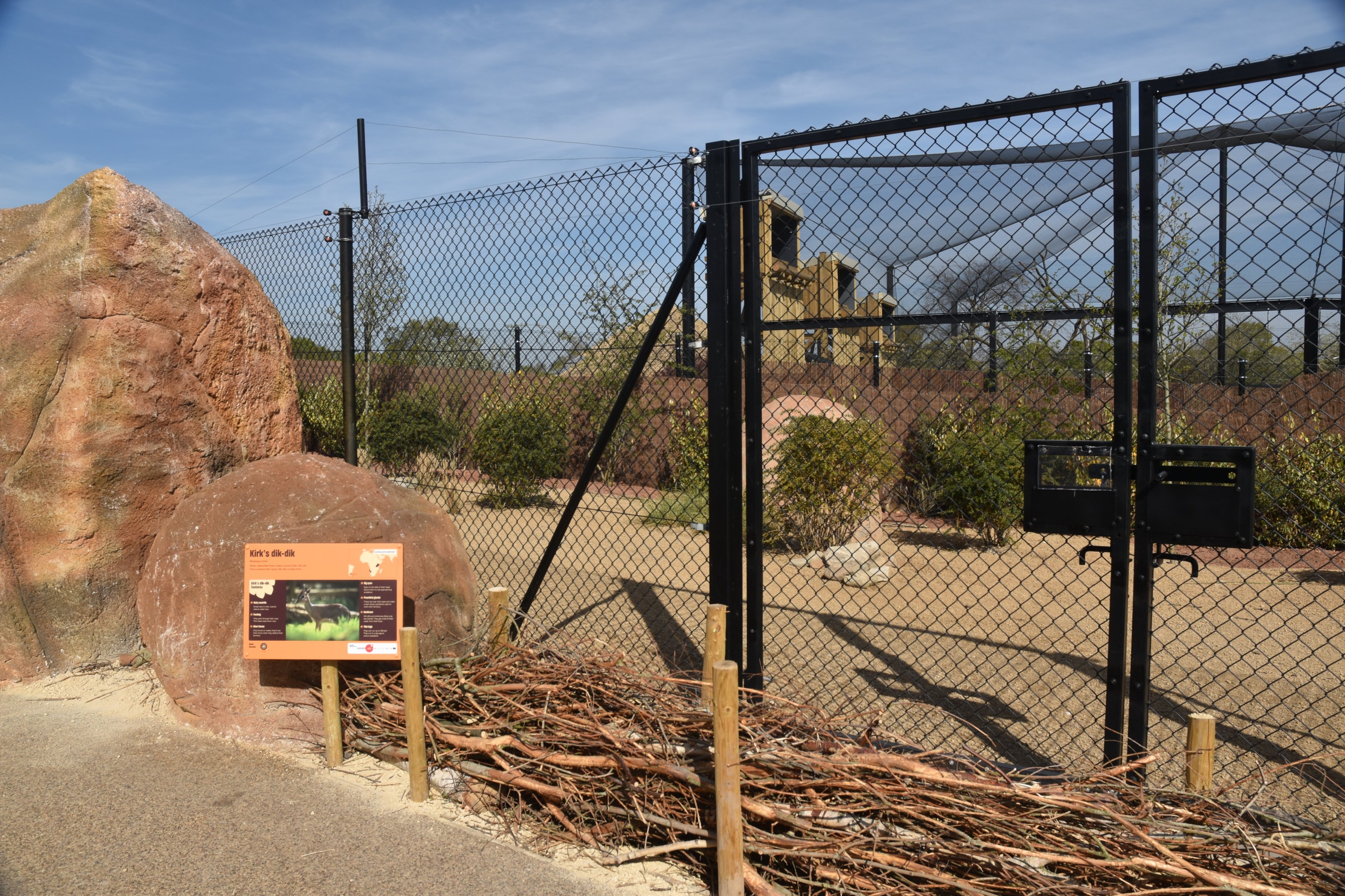 Second Dik-dik Enclosure, Heart of Africa at Chester, 12th April 2025