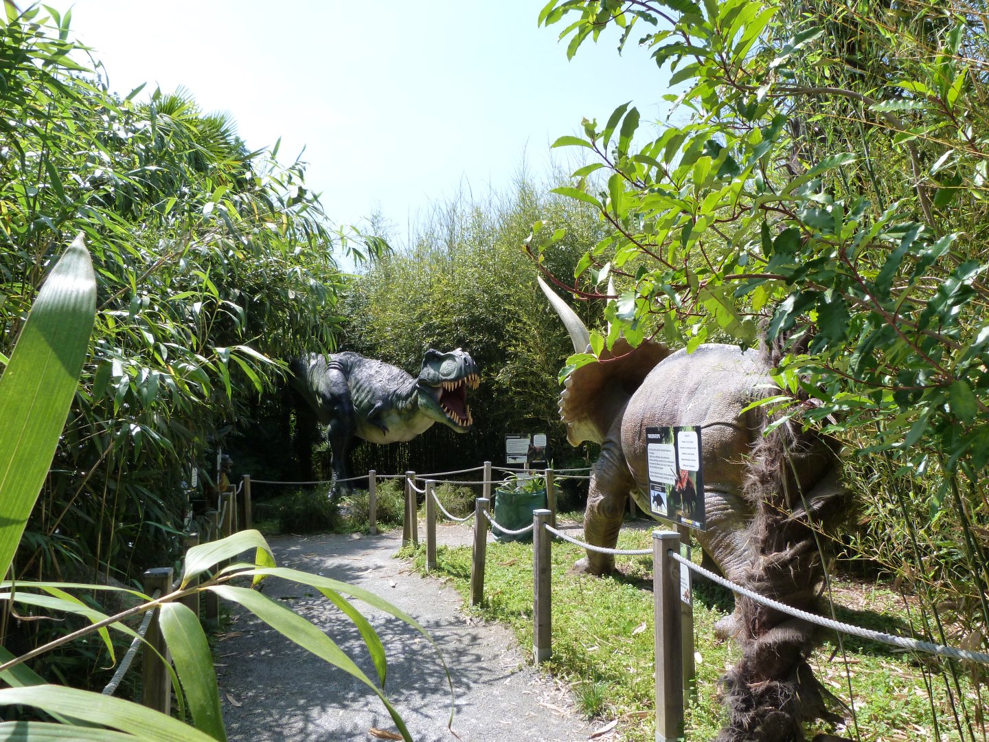 Second dinosaur zone -Zoo d'Asson (2025)